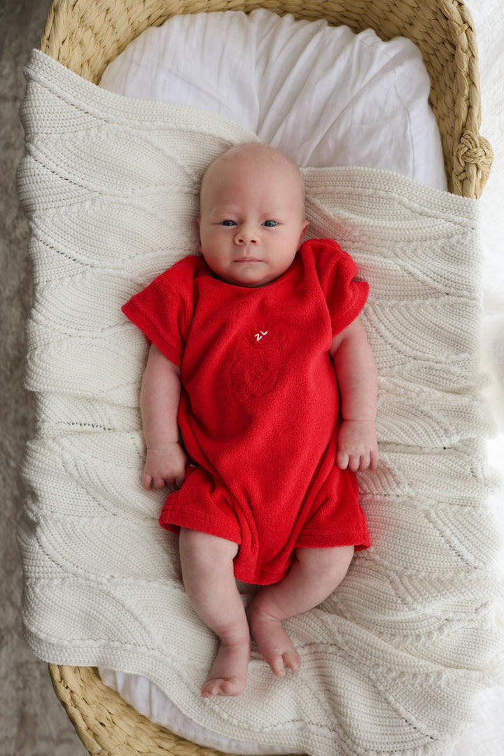 PLAYSUIT | SHAWN THE PRAWN