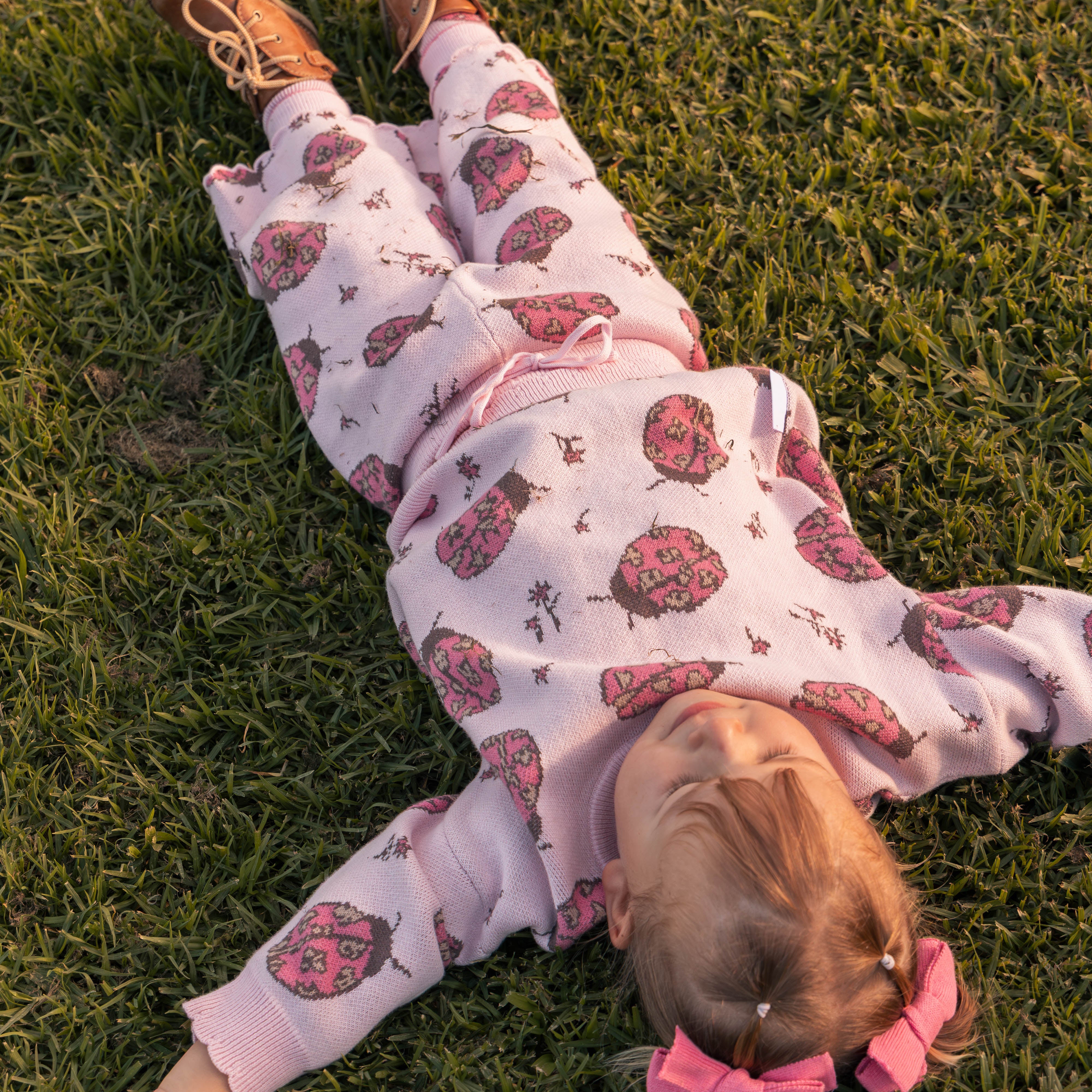 Ladybug
