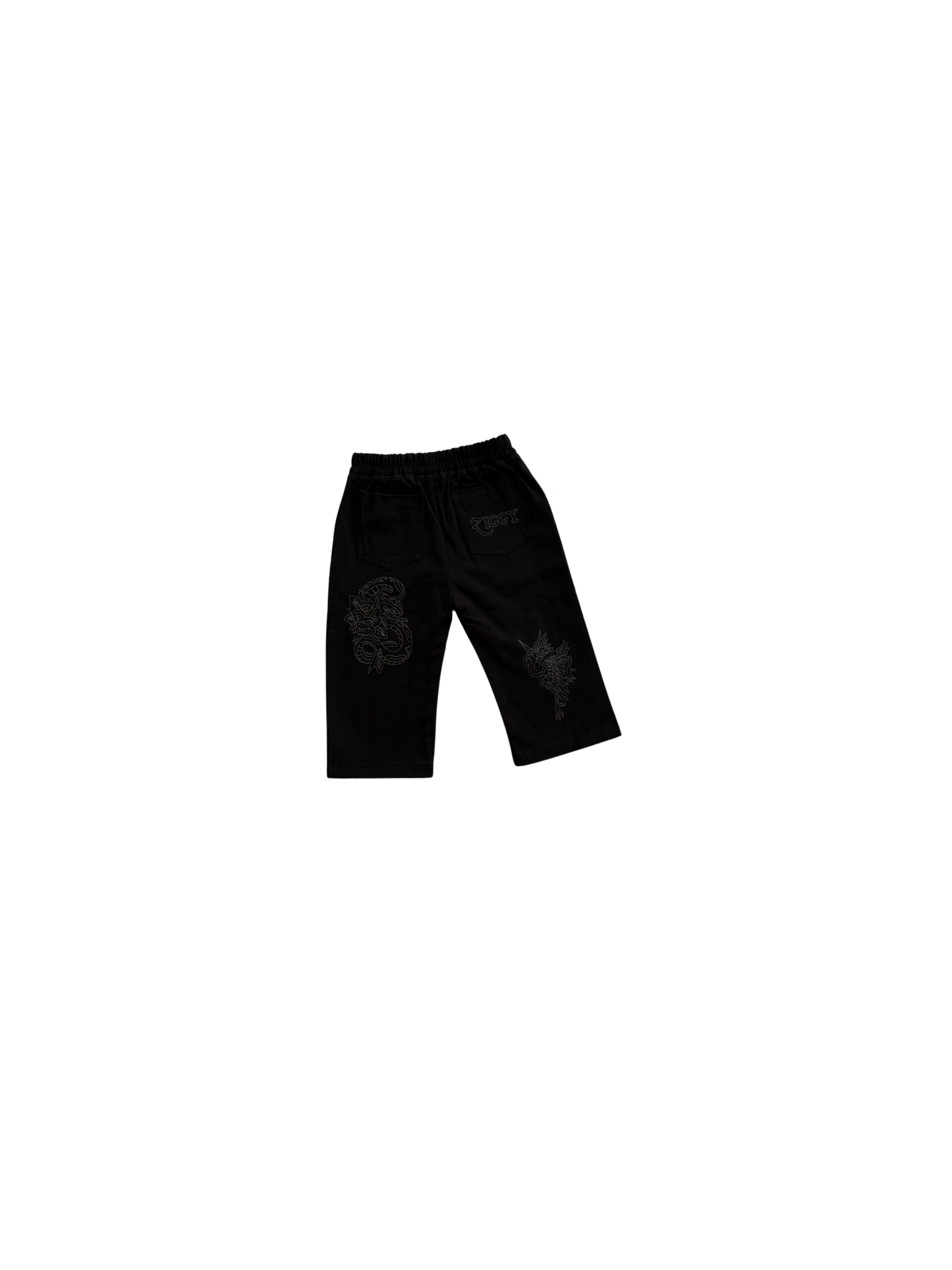 CANVAS PANTS VENOM