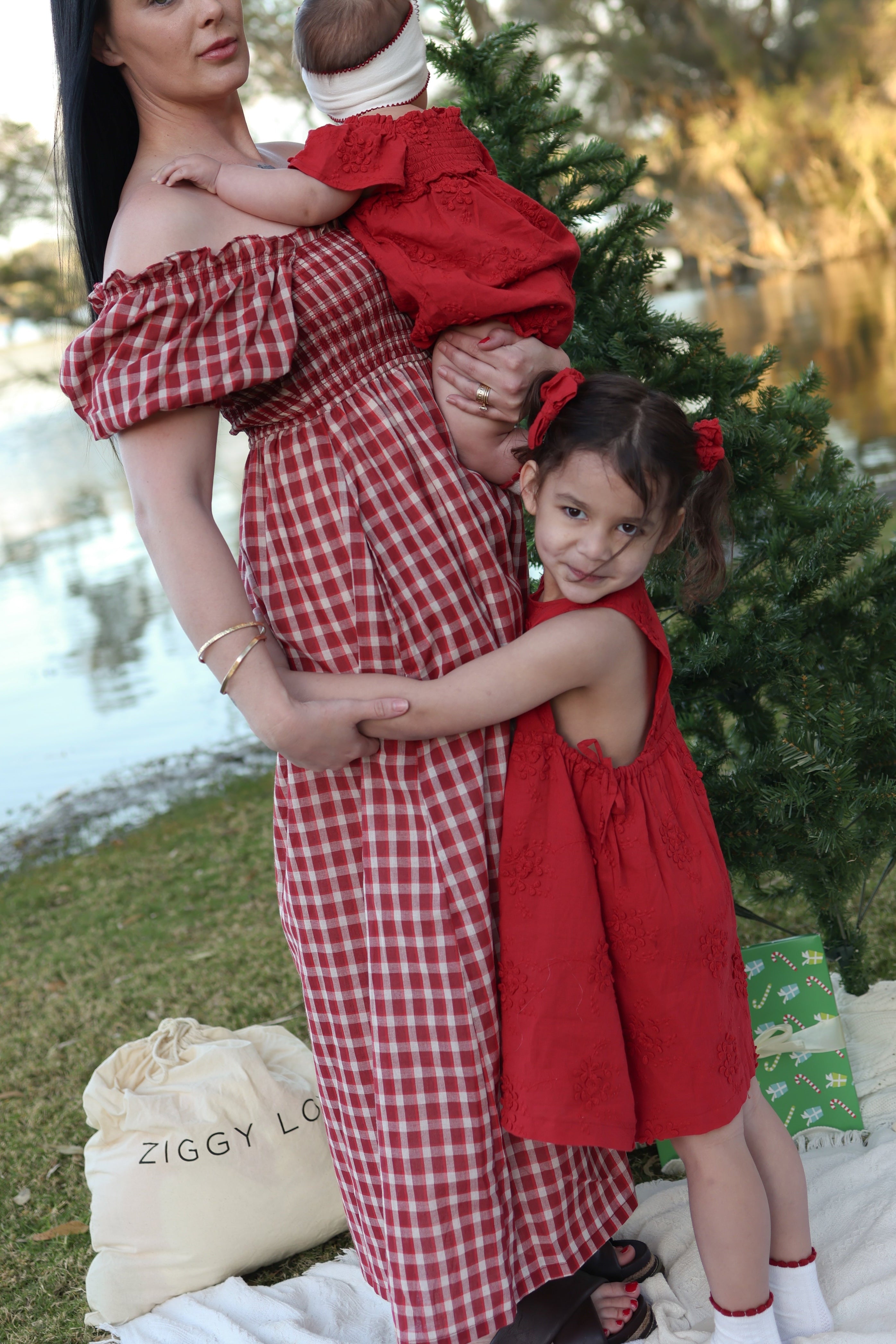 SOFIA DRESS CRIMSON