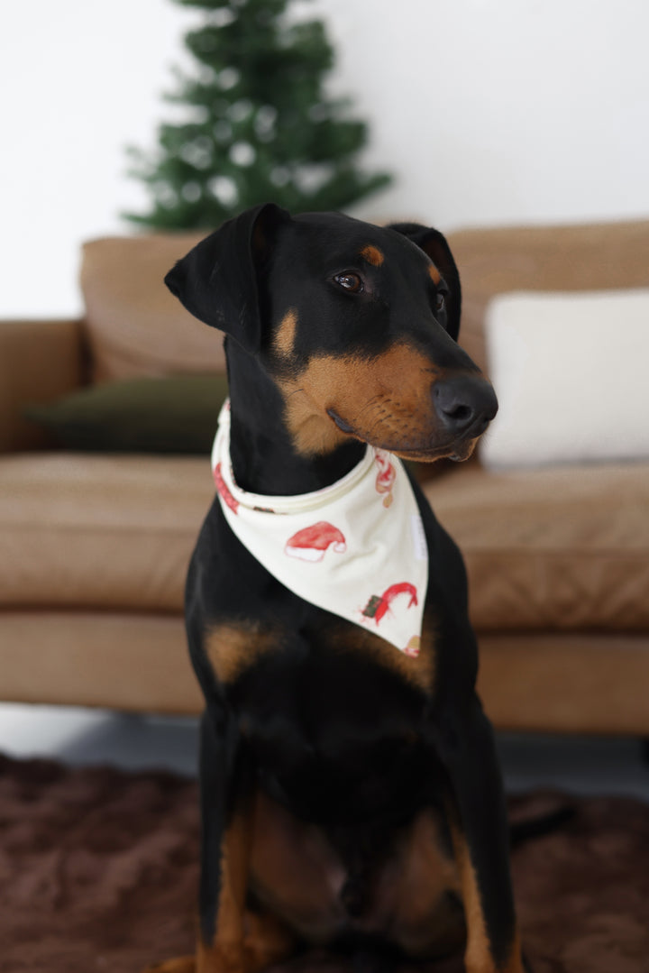 PET BANDANA CHRISTMAS - Pre-Order Mid November
