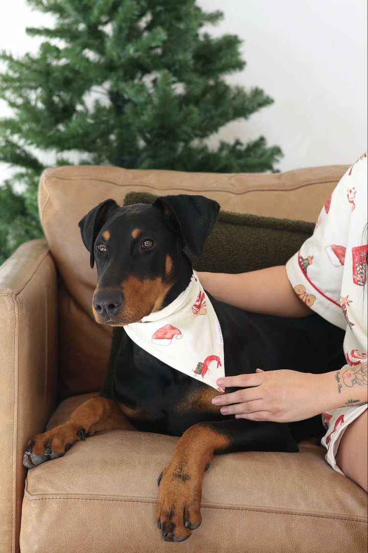 PET BANDANA CHRISTMAS - Pre-Order Mid November