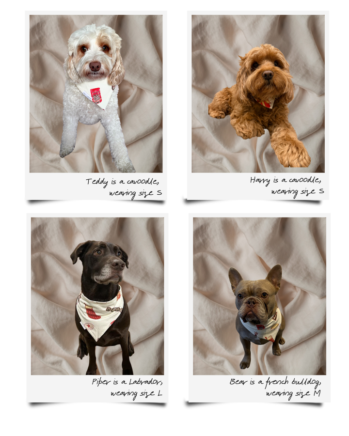 PET BANDANA CHRISTMAS - Pre-Order Mid November