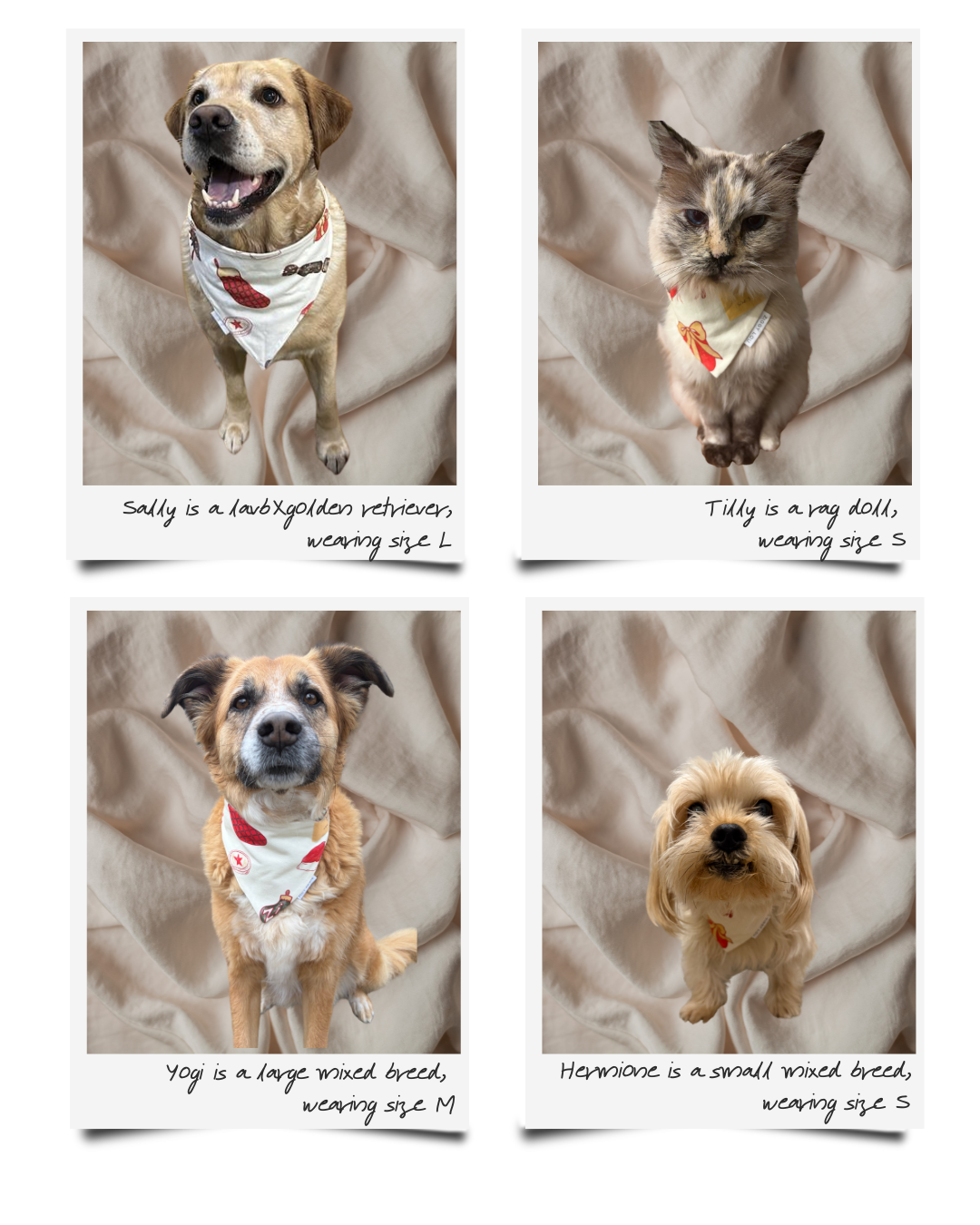 PET BANDANA CHRISTMAS - Pre-Order Mid November