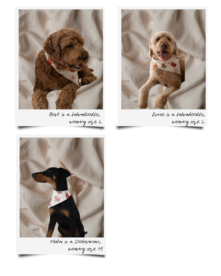 PET BANDANA CHRISTMAS - Pre-Order Mid November