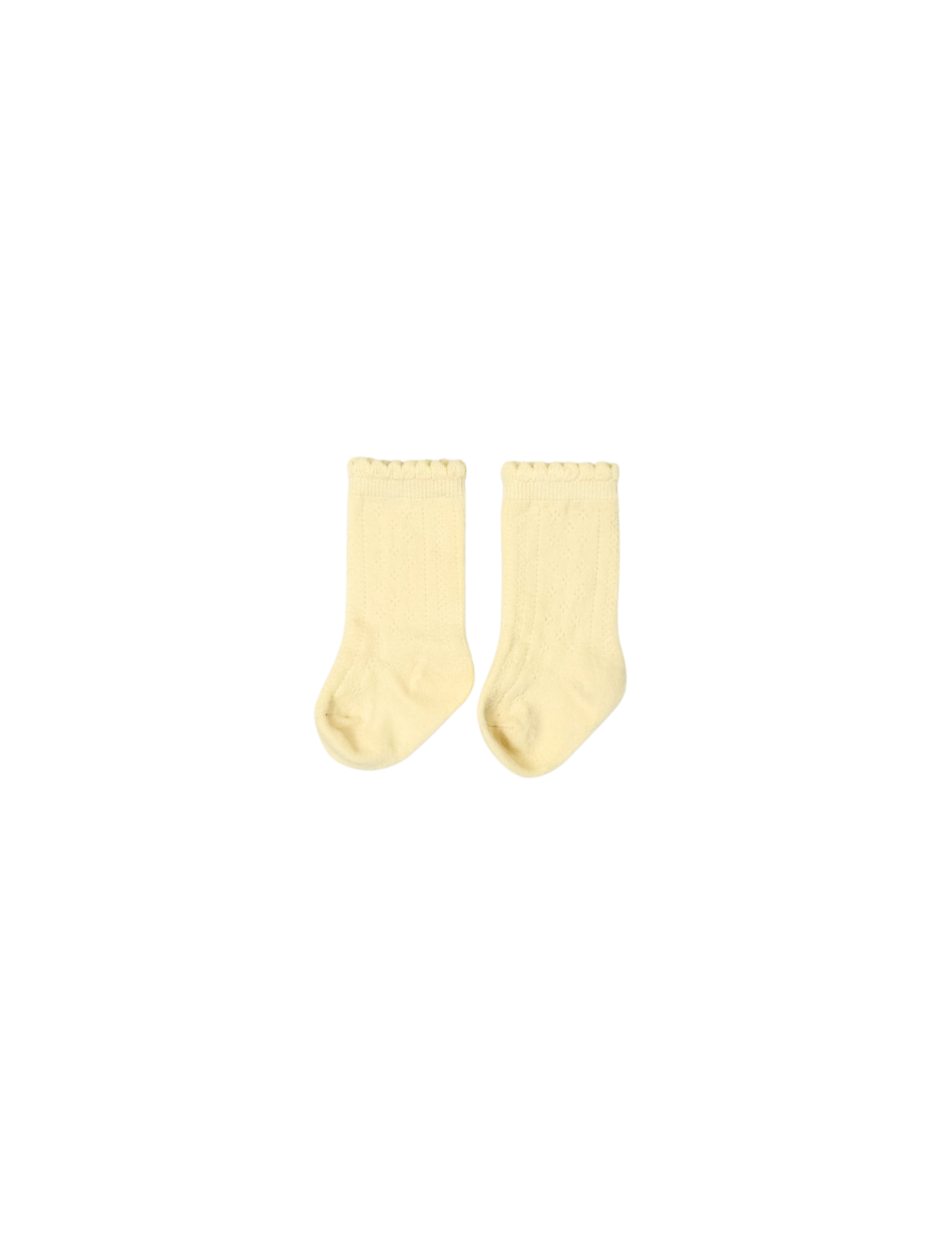 4fd73ee8-cff6-416d-9e56-6cb66474959b.png