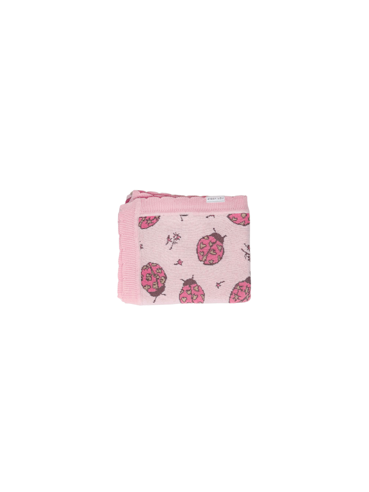 BLANKET LADYBUG