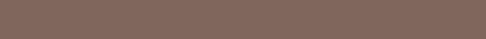 BLACK_FRIDAY_-_Web_Banner_1.png