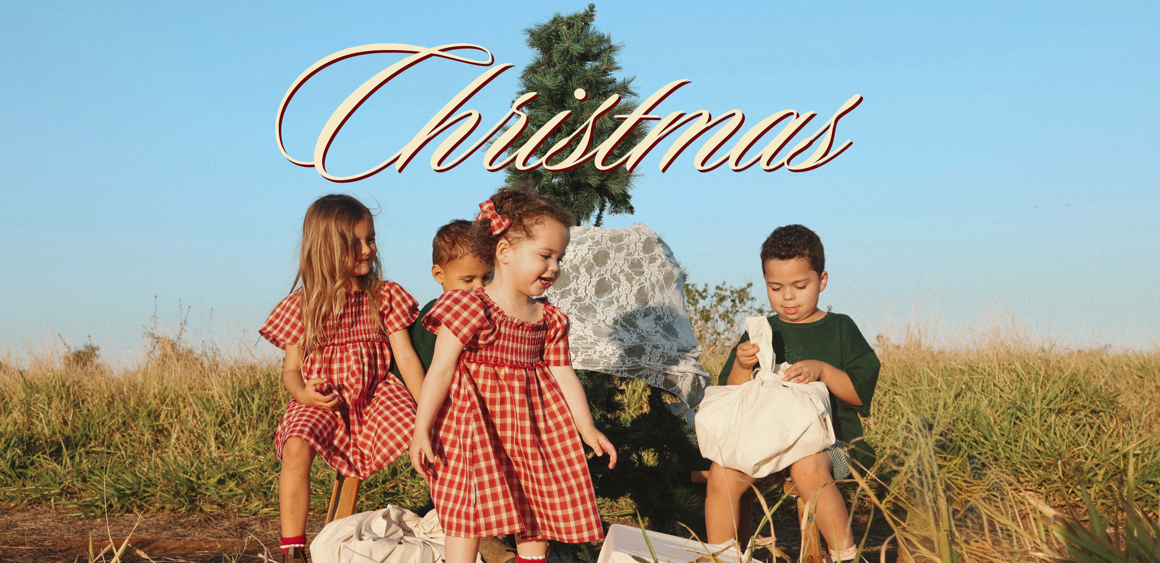 Christmas_banner_-_WEBSITE_BANNER_7295884b-7261-4288-90dd-b157026c7ce8.png