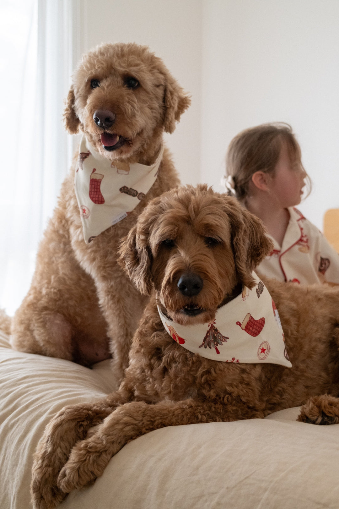 PET BANDANA CHRISTMAS - Pre-Order Mid November