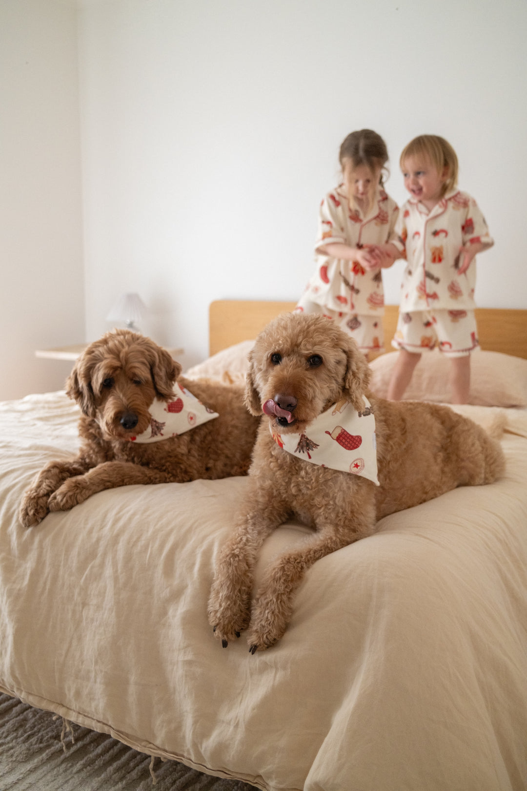 PET BANDANA CHRISTMAS - Pre-Order Mid November