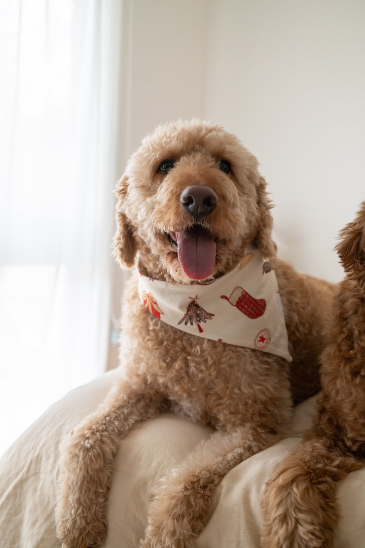PET BANDANA CHRISTMAS - Pre-Order Mid November