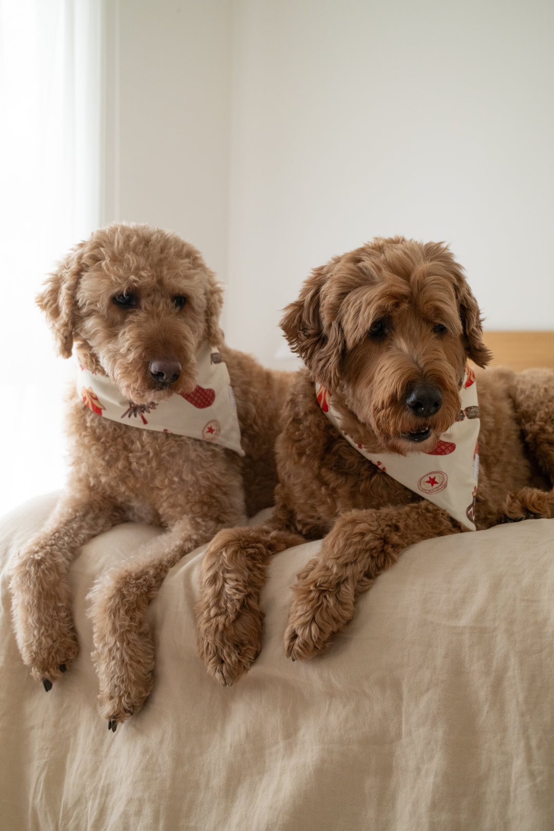 PET BANDANA CHRISTMAS - Pre-Order Mid November