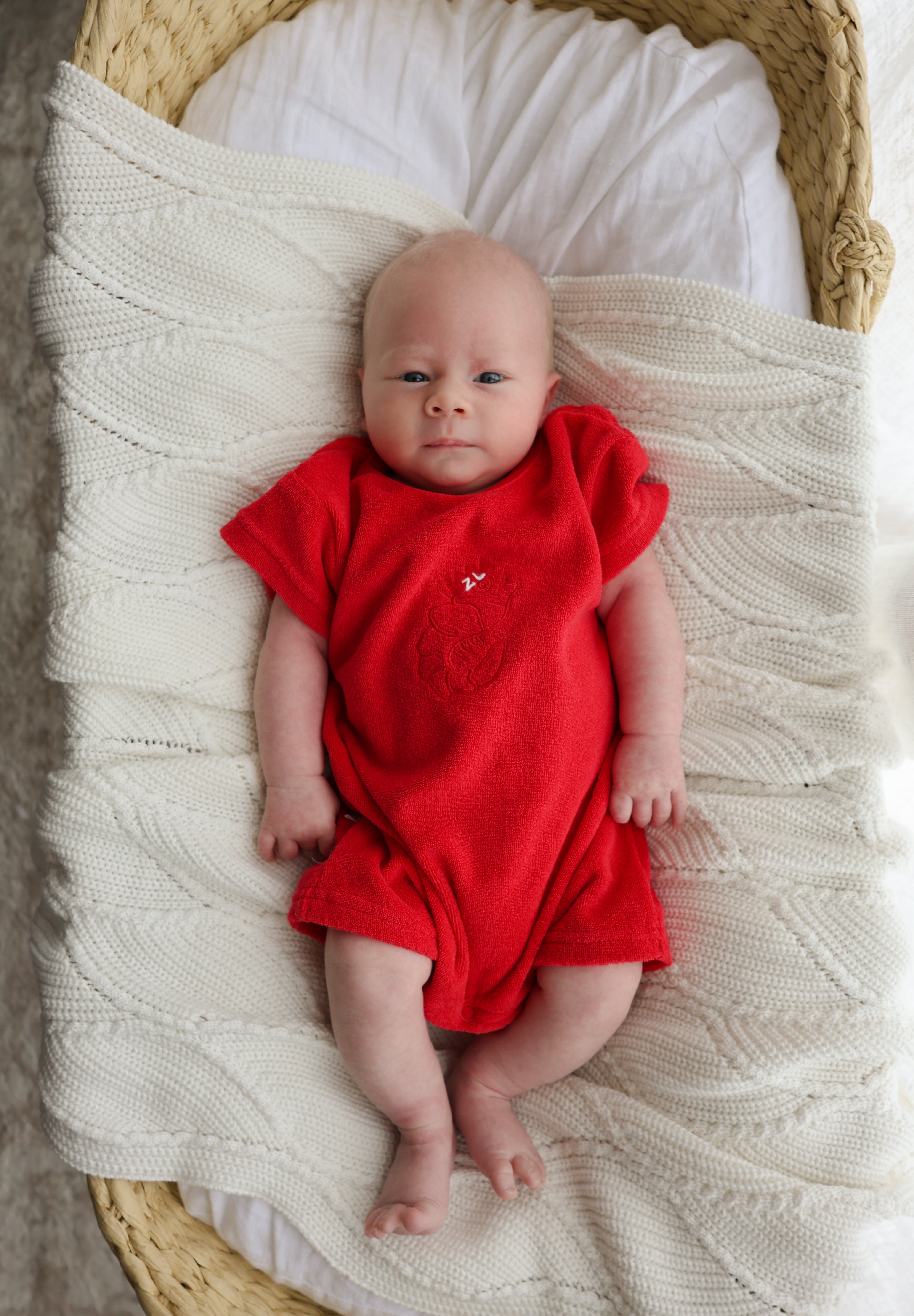 PLAYSUIT | SHAWN THE PRAWN