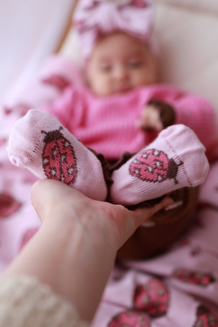 SOCKS LADYBUG