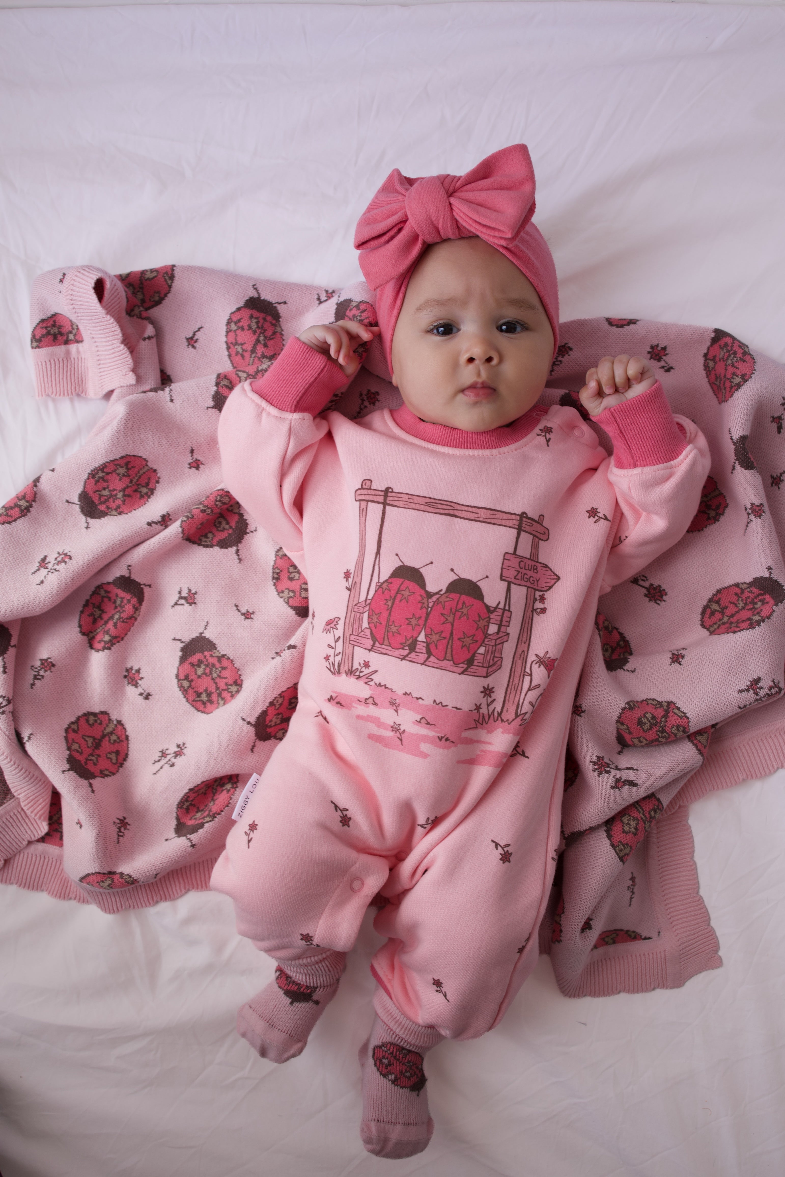 BLANKET LADYBUG