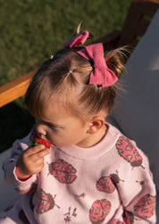 JUMPER LADYBUG