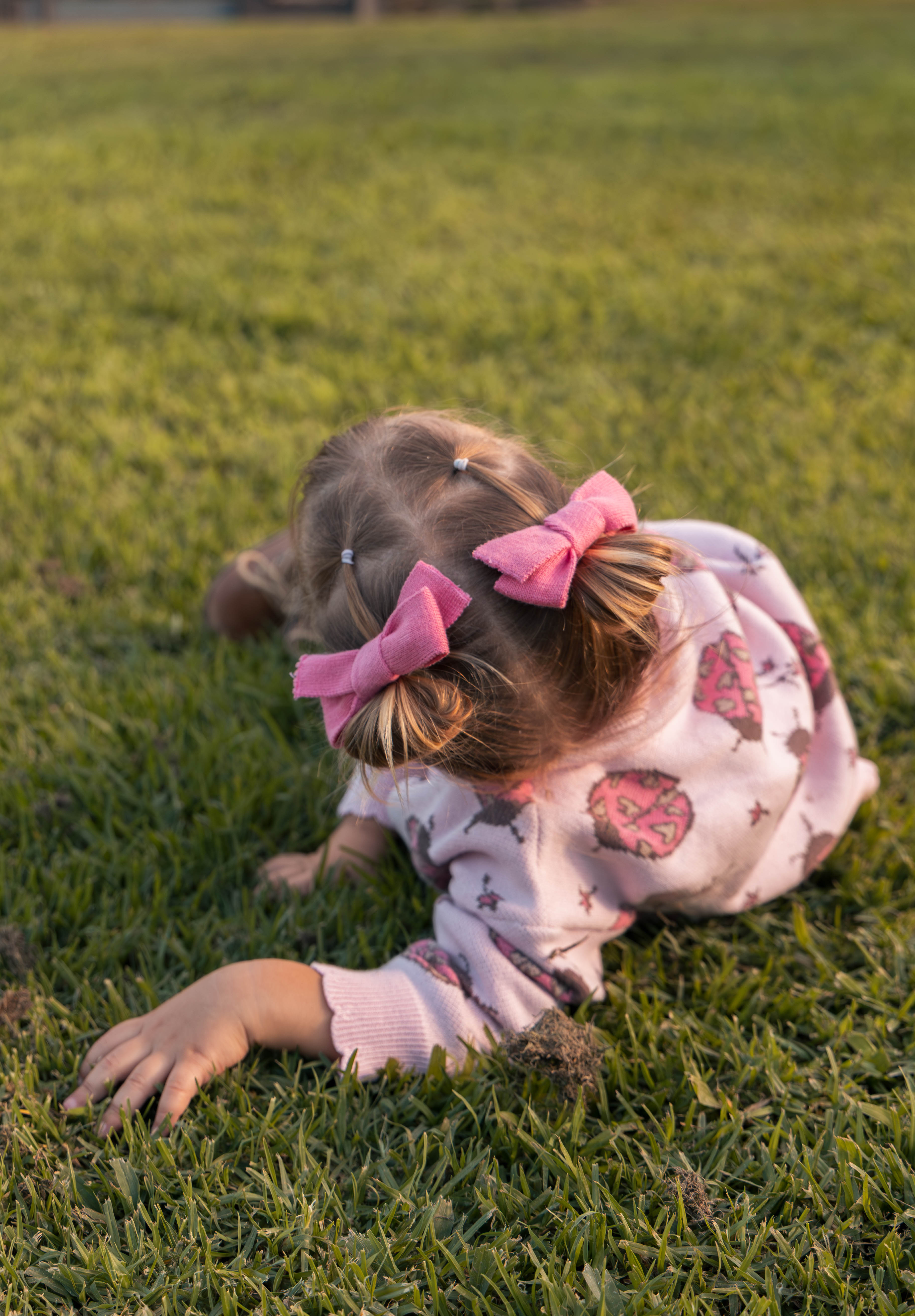 BOWS CAMELIA