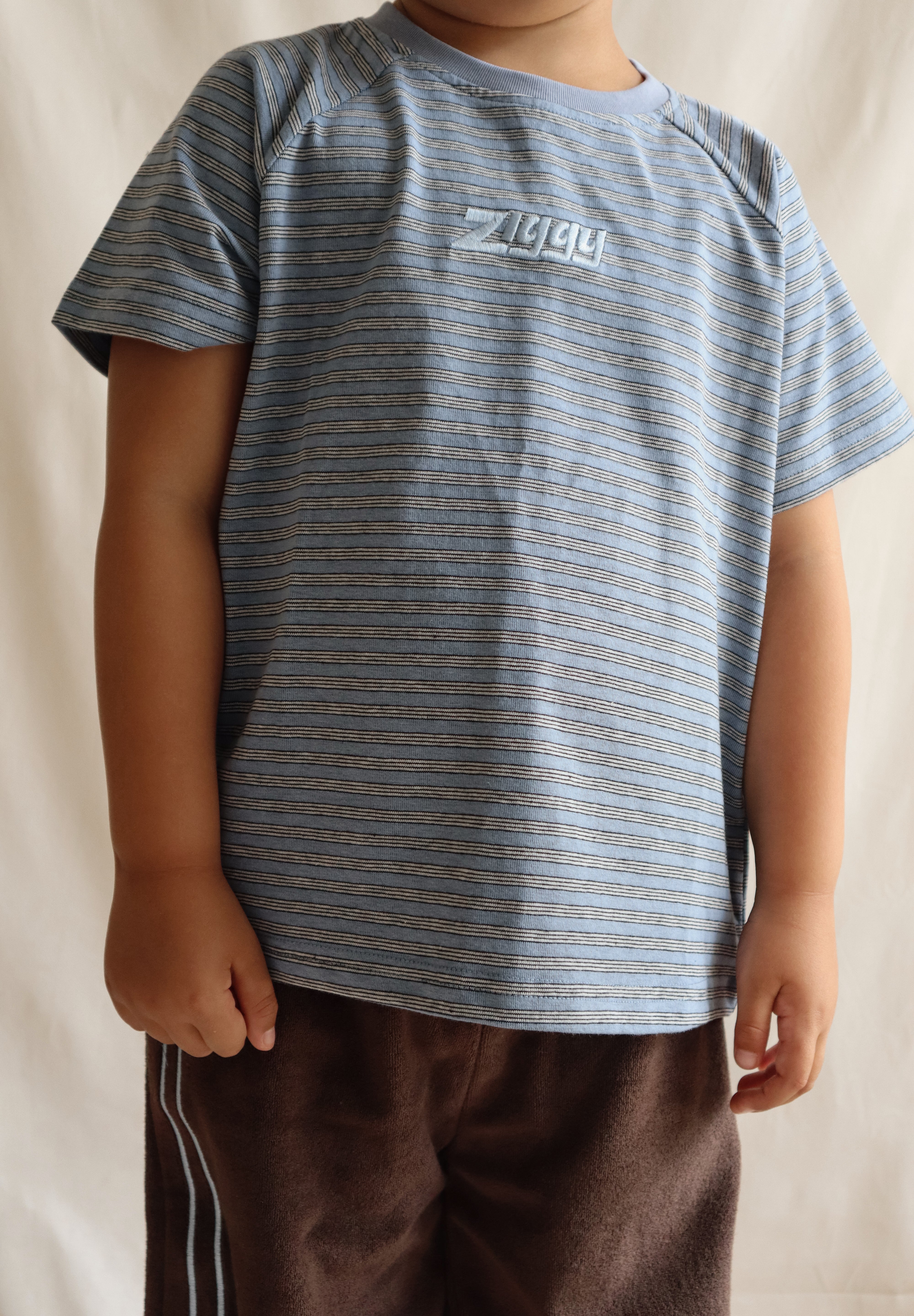 RAGLAN TEE PHOENIX