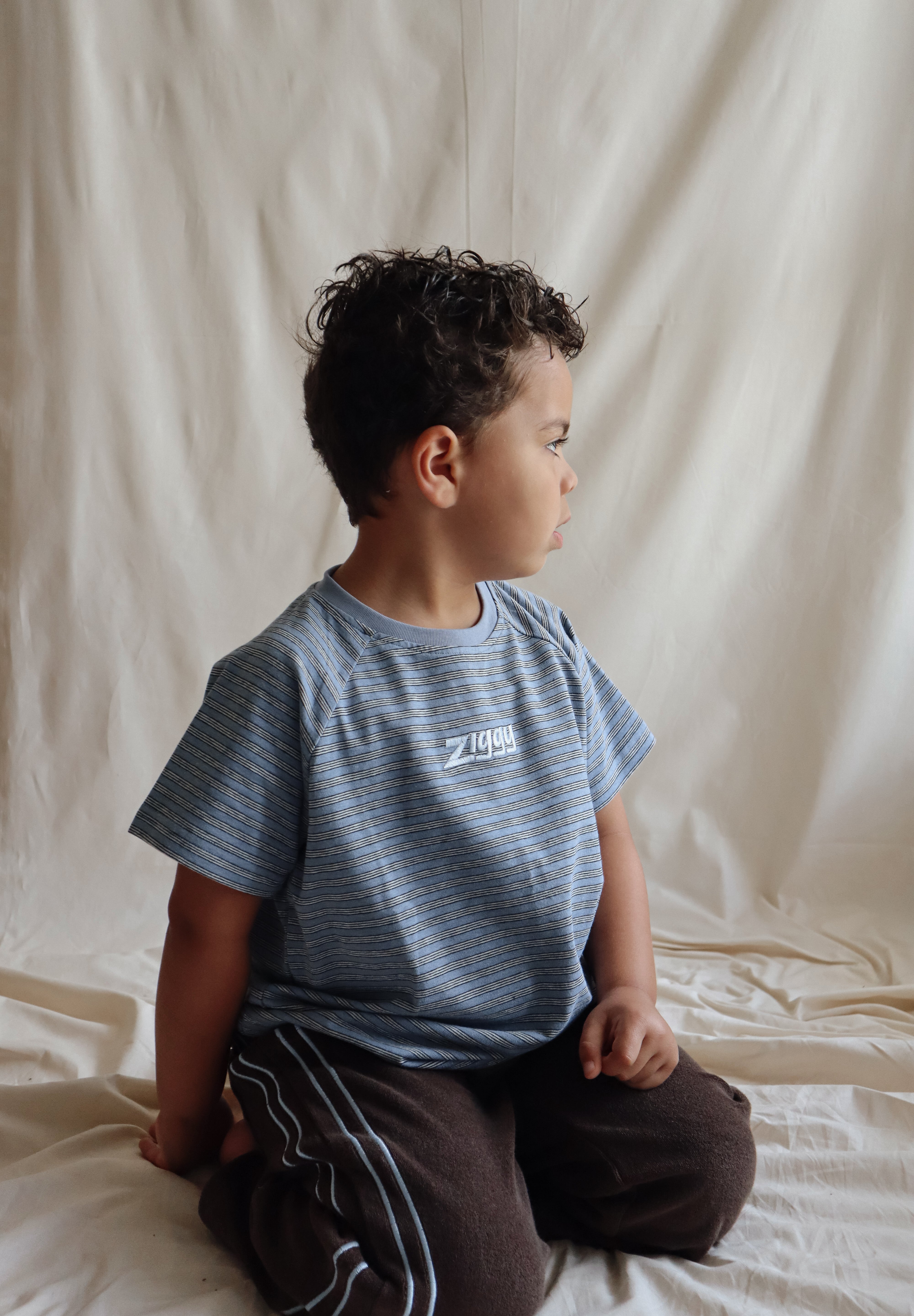 RAGLAN TEE PHOENIX