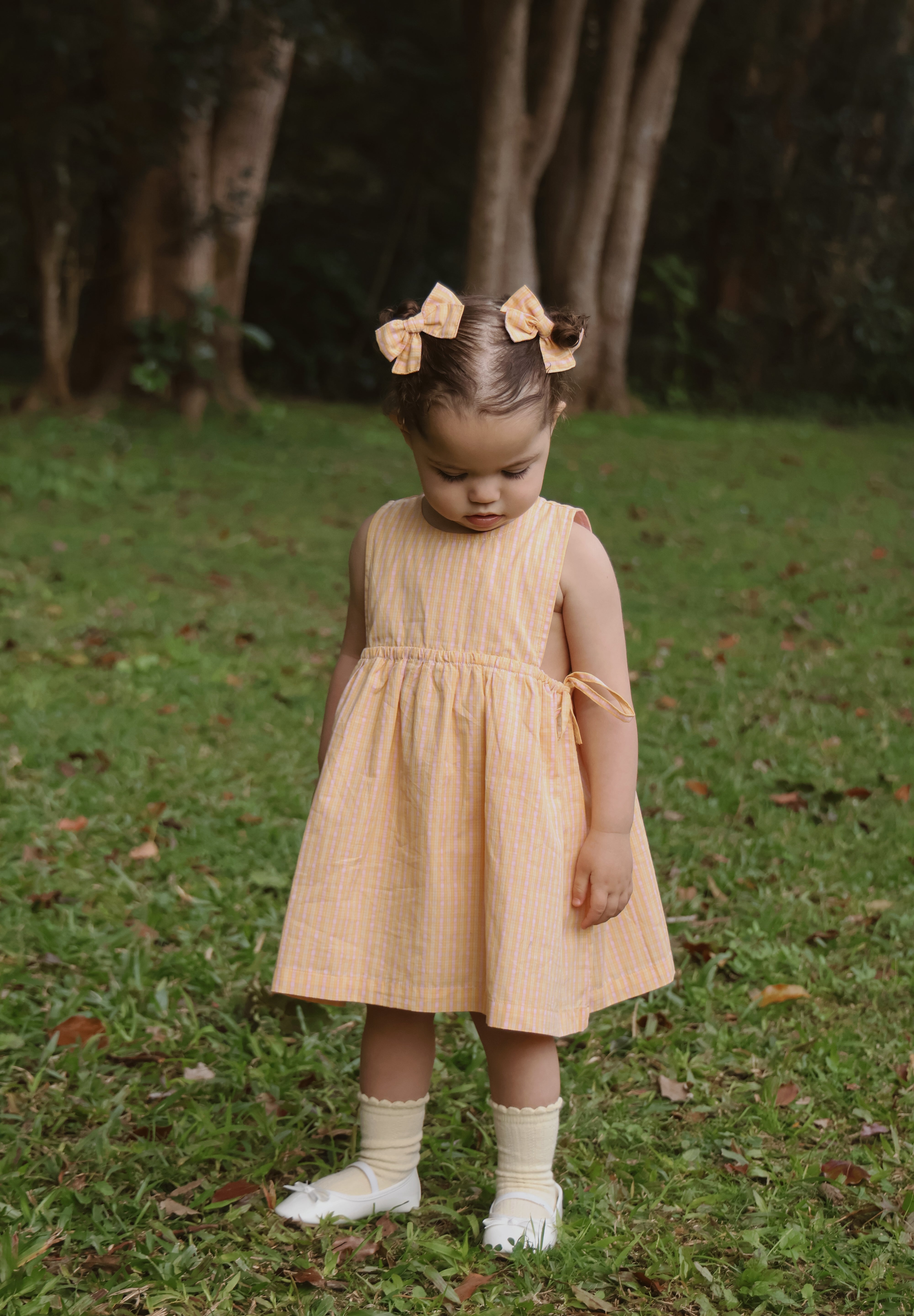BOWS MARIGOLD
