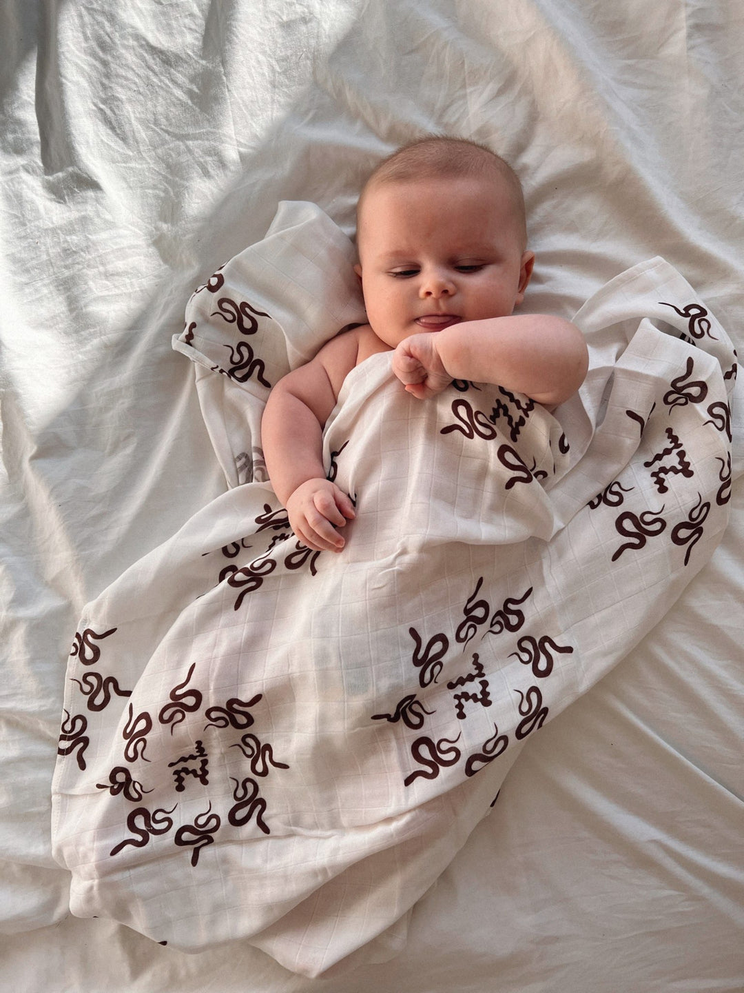 SWADDLE | VIPER