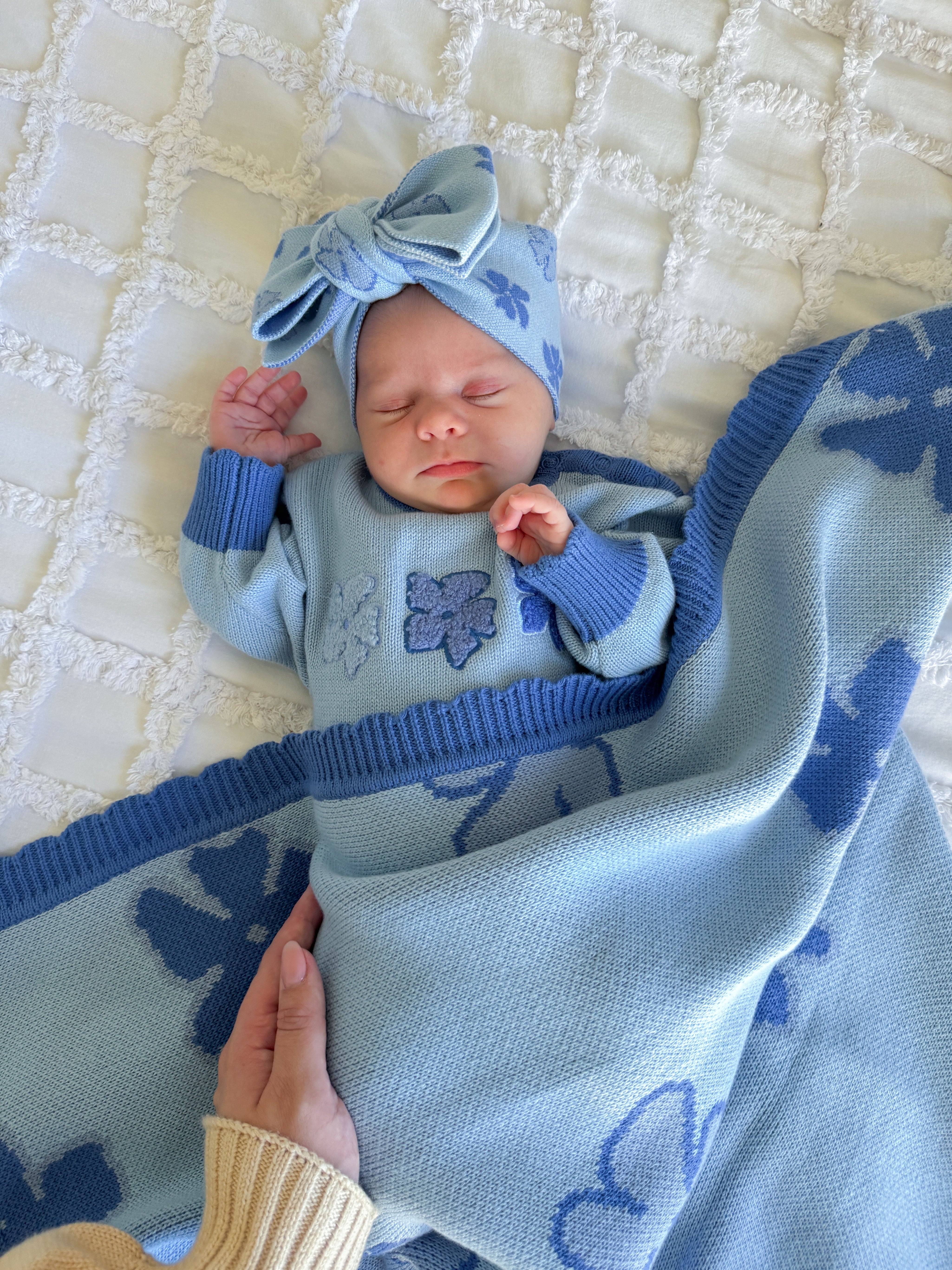 BLANKET WILLOW