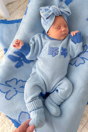 BLANKET WILLOW