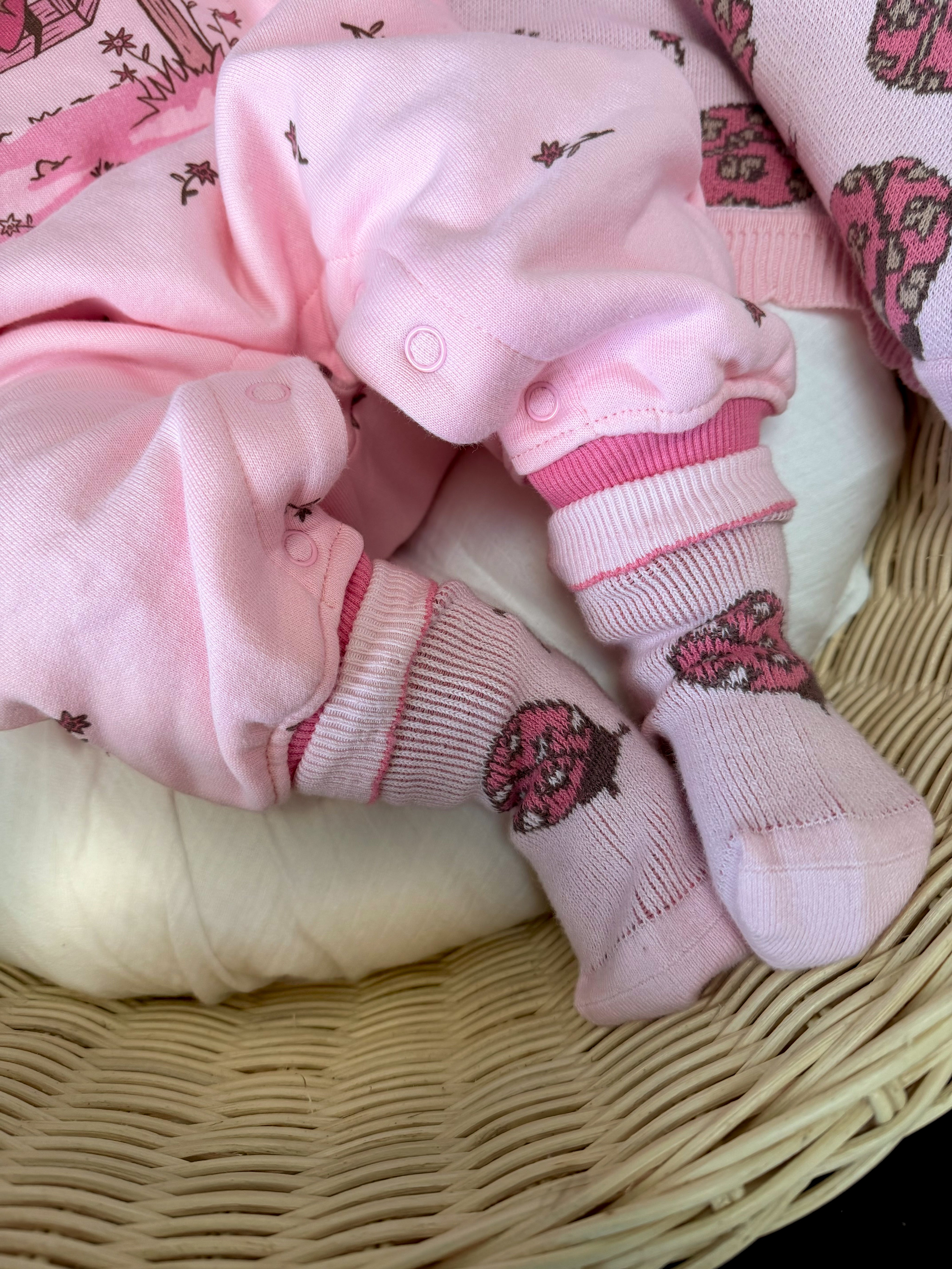 SOCKS LADYBUG