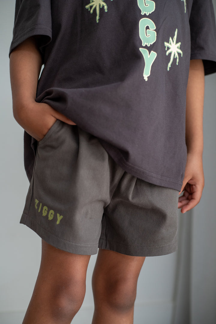 CANVAS SHORTS | ZEPHYR