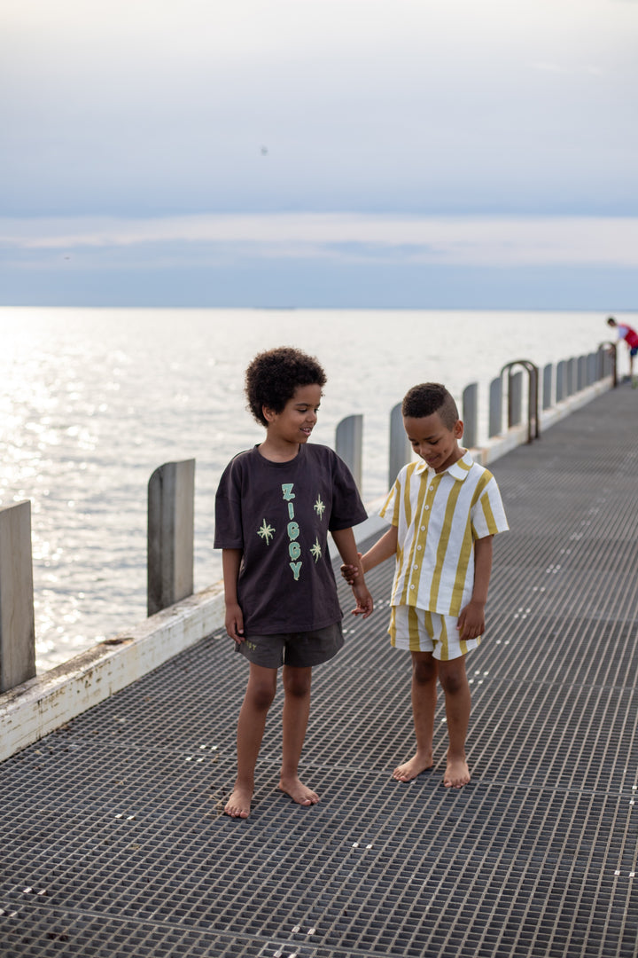 CANVAS SHORTS | ZEPHYR