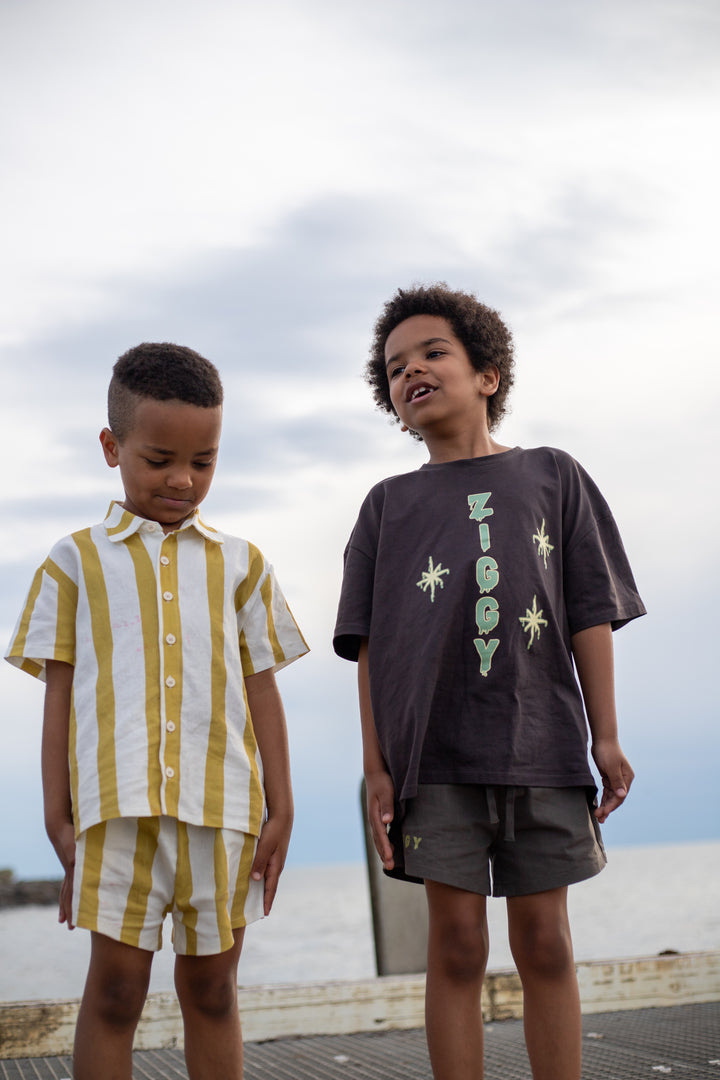 CANVAS SHORTS | ZEPHYR