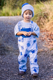 OVERALLS WILLOW