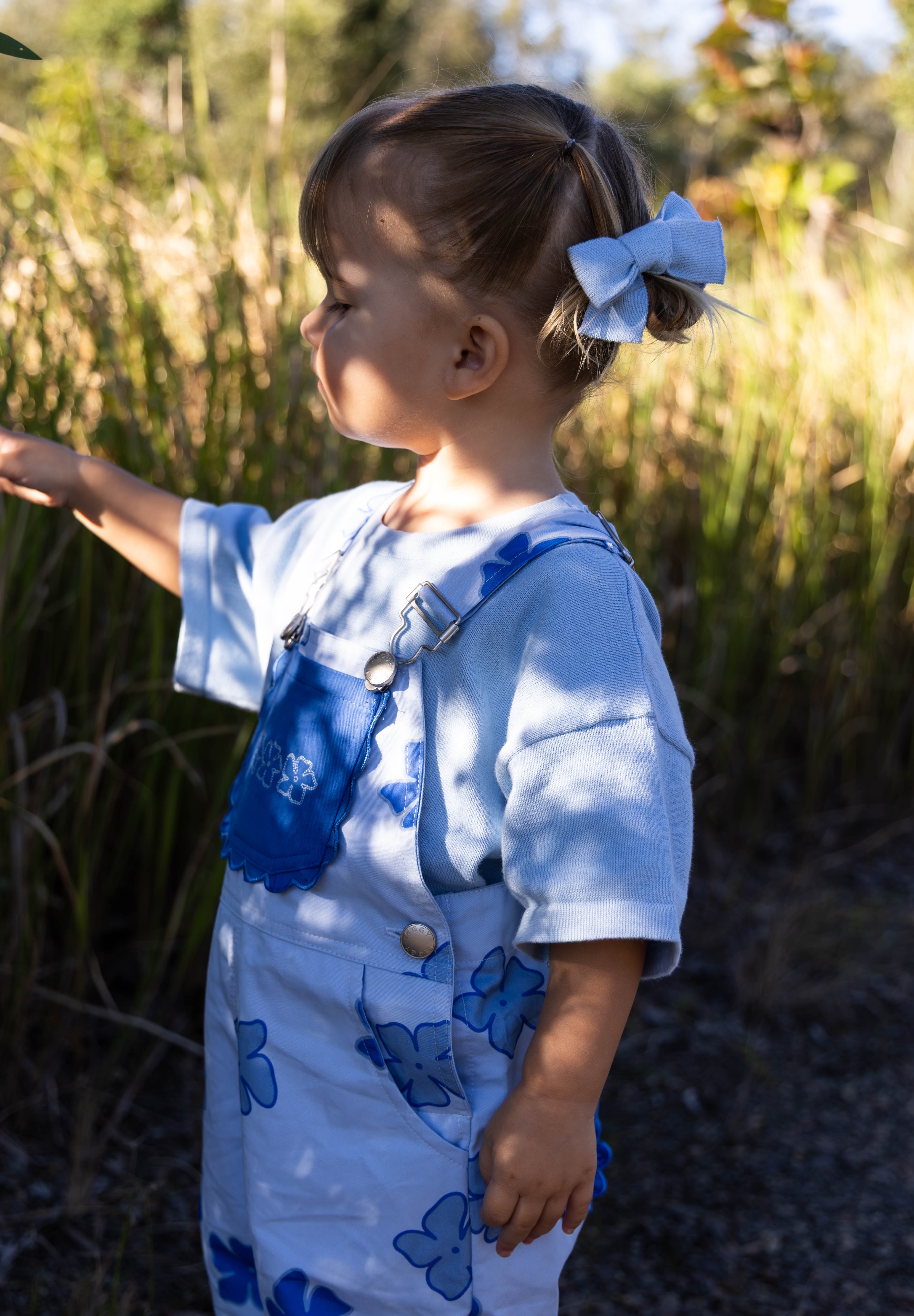 BOWS BREEZE