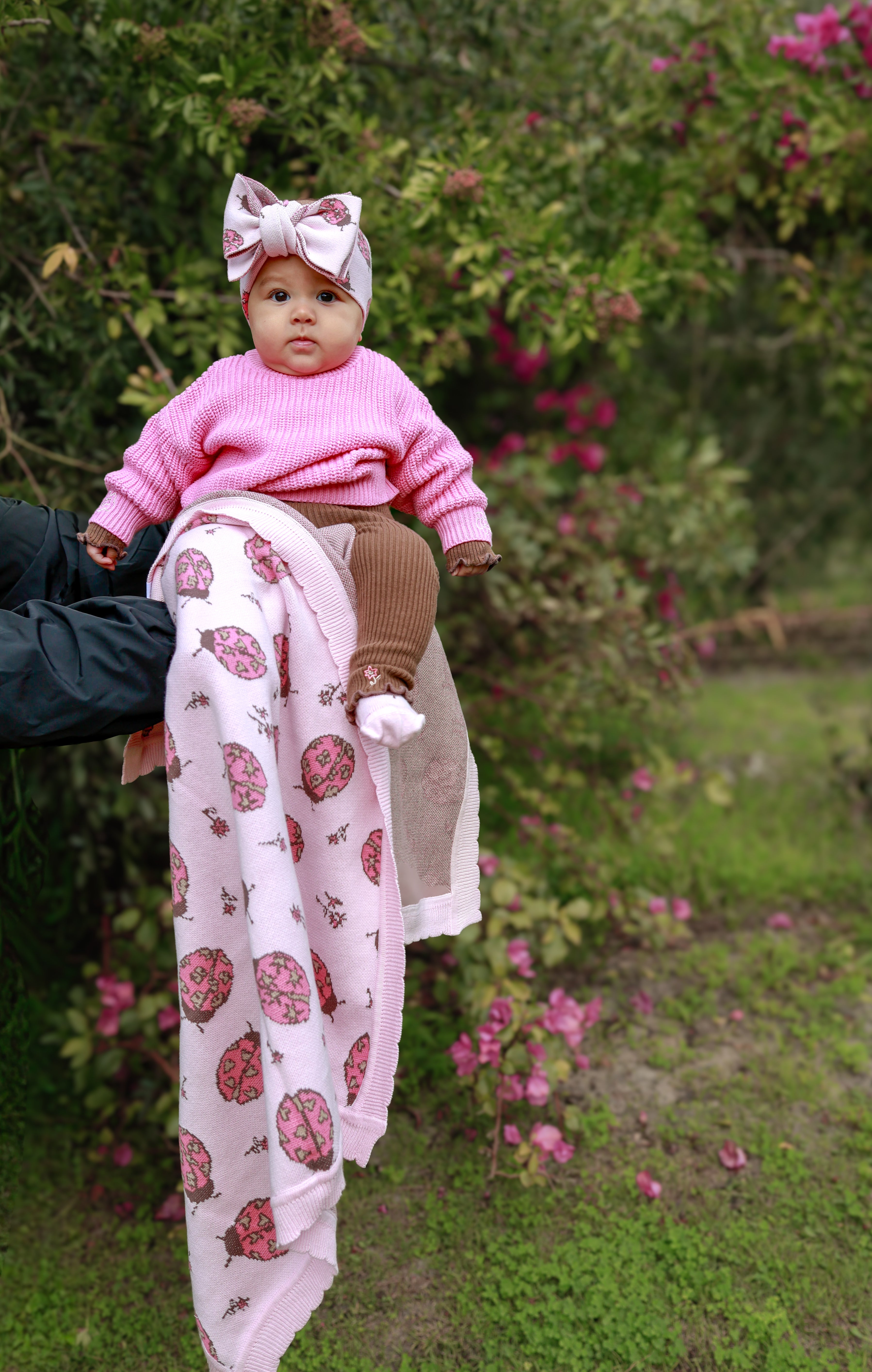 BLANKET LADYBUG
