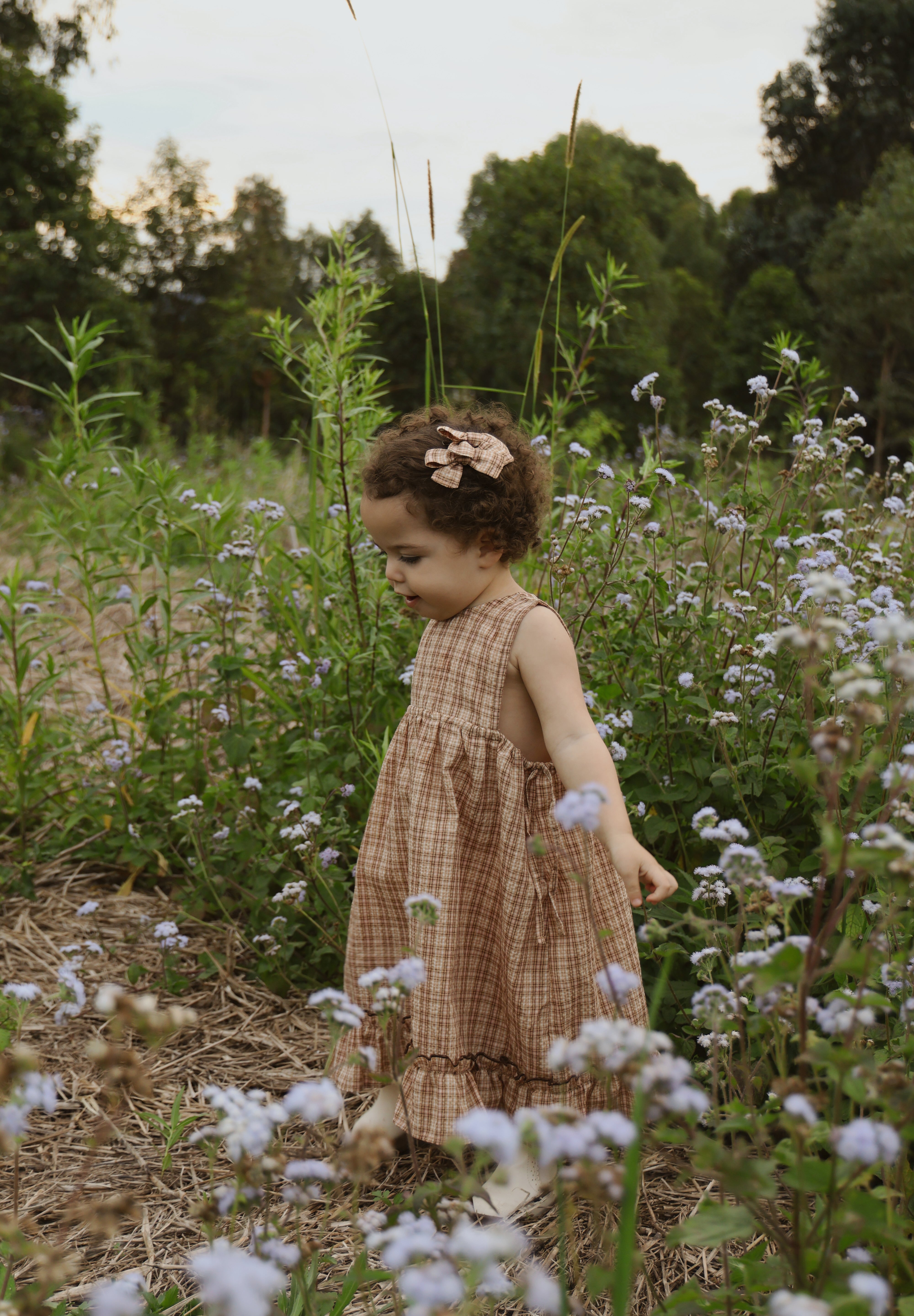 LOTTIE DRESS PICNIC