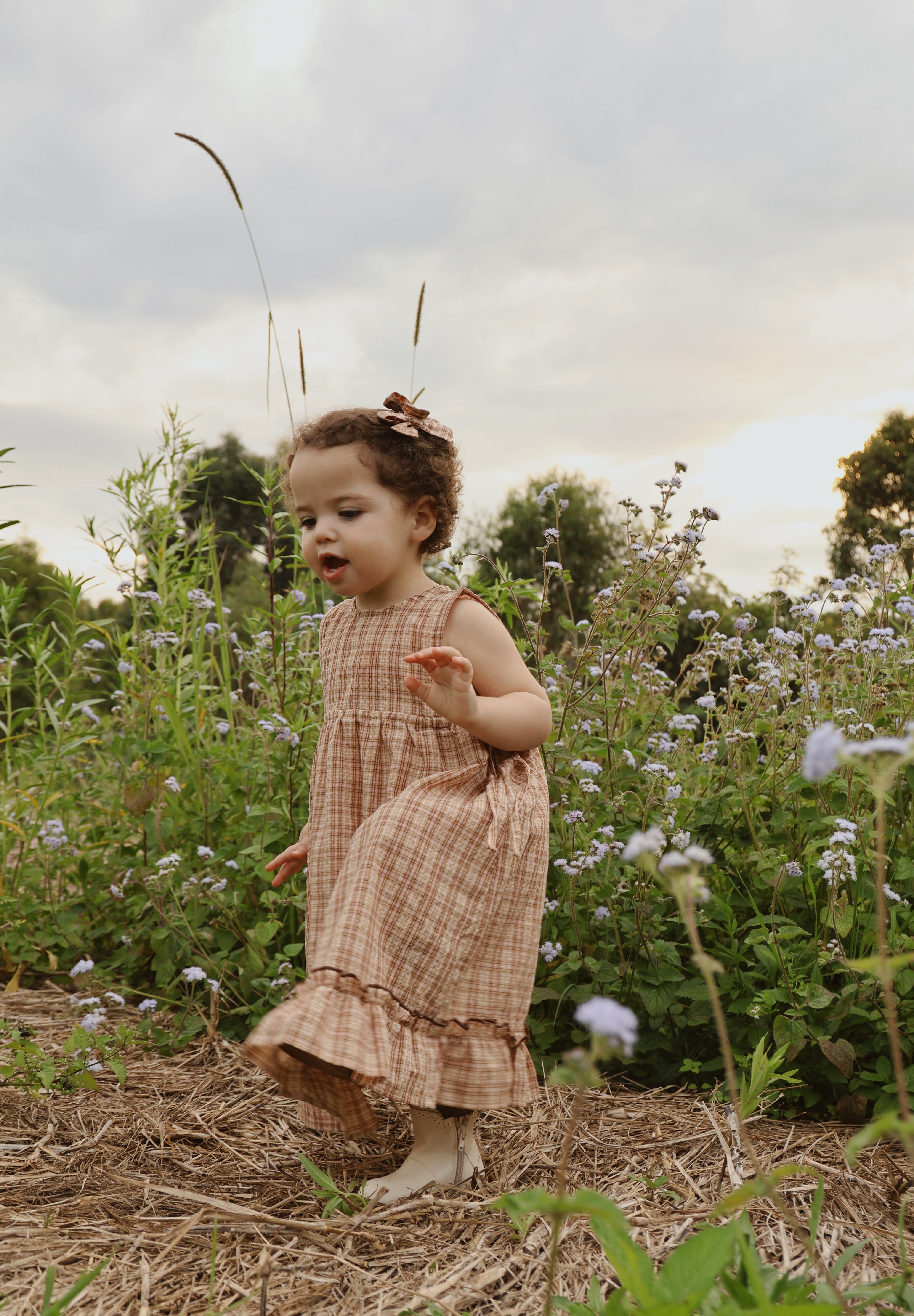 LOTTIE DRESS PICNIC