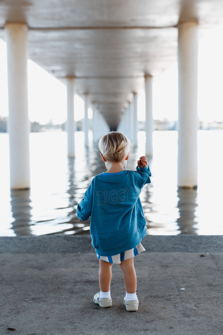 SWEATSHIRT | FERRIS