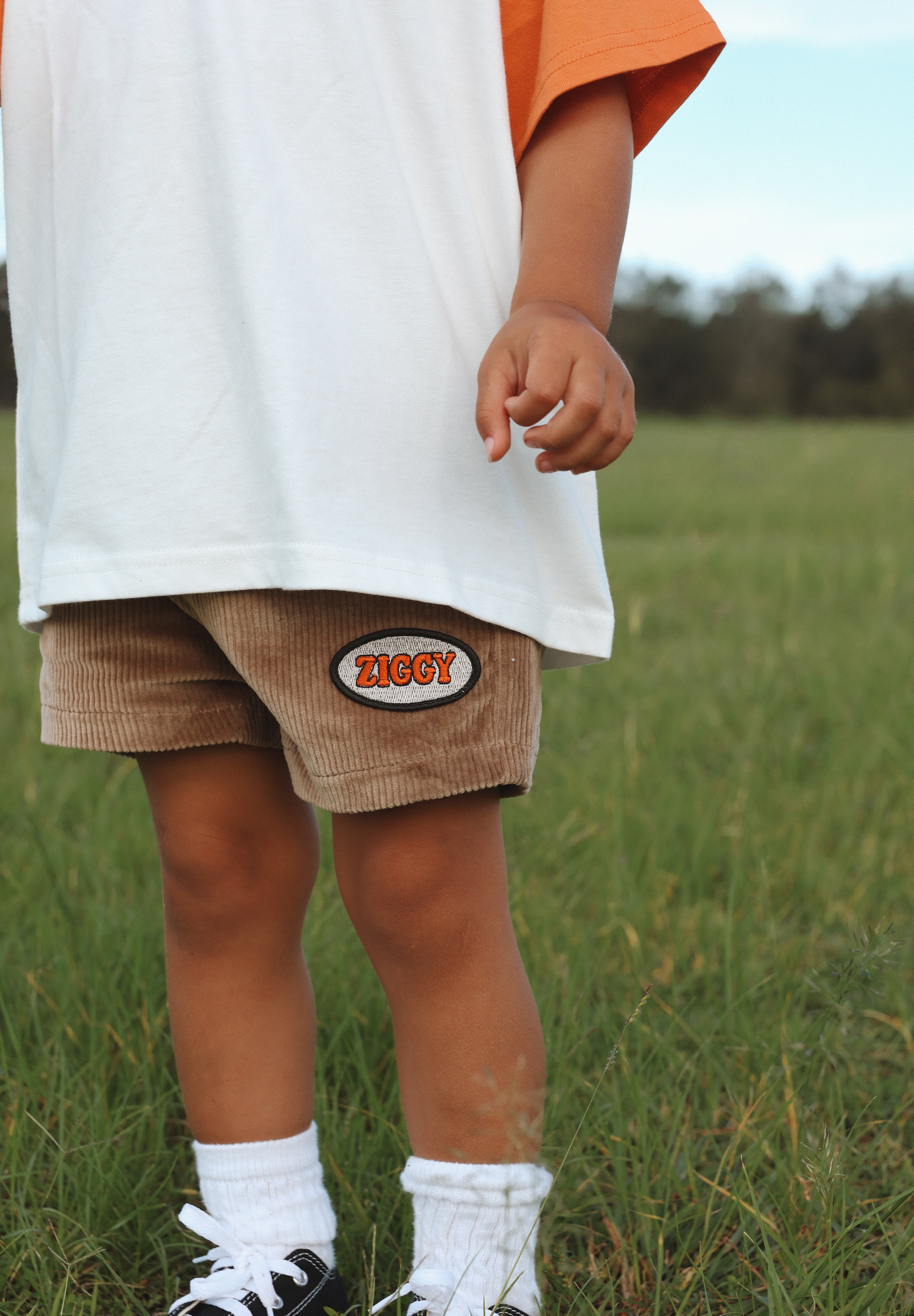 CORD SHORTS | SKATE