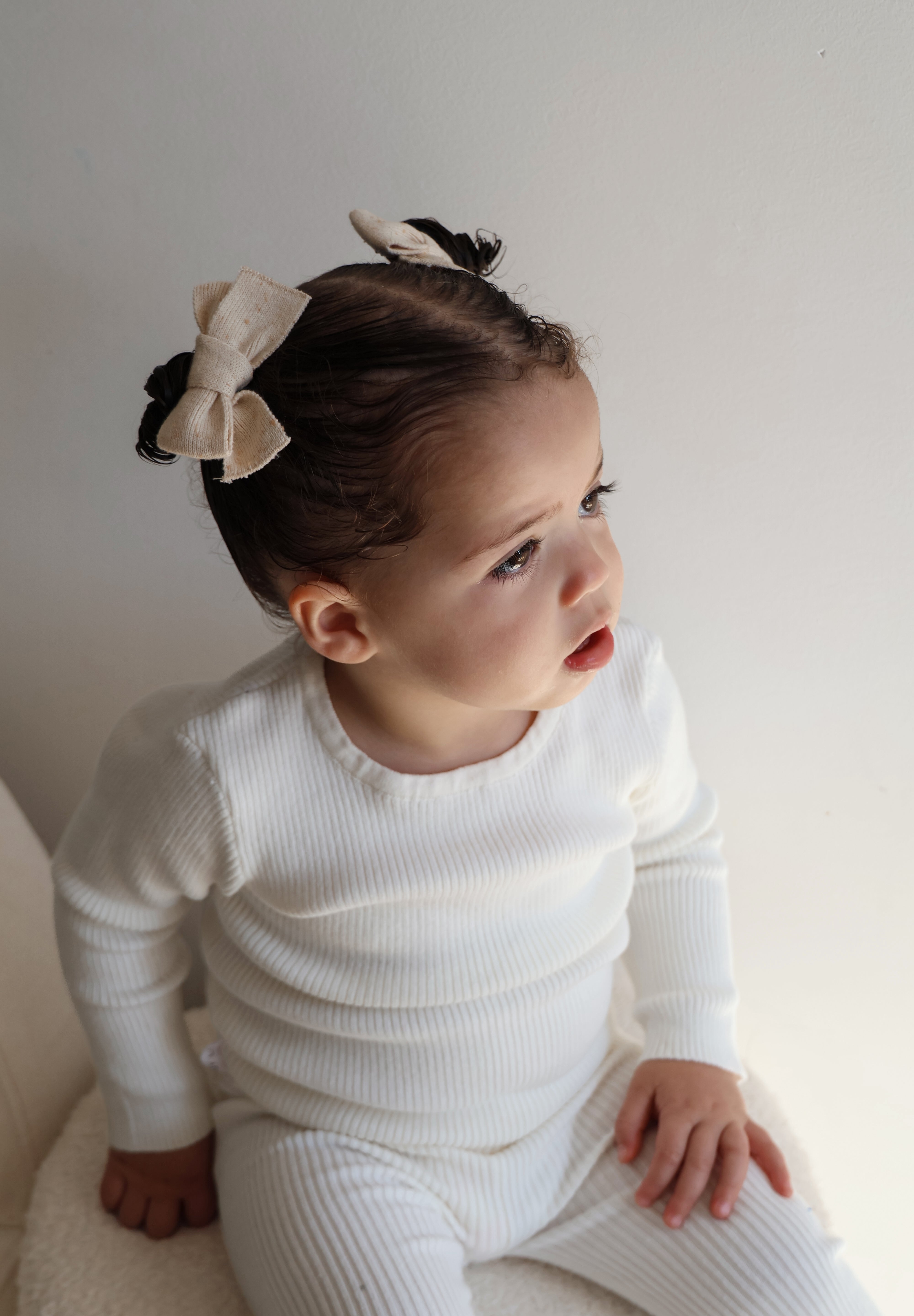 BOWS BISCOTTI FLECK