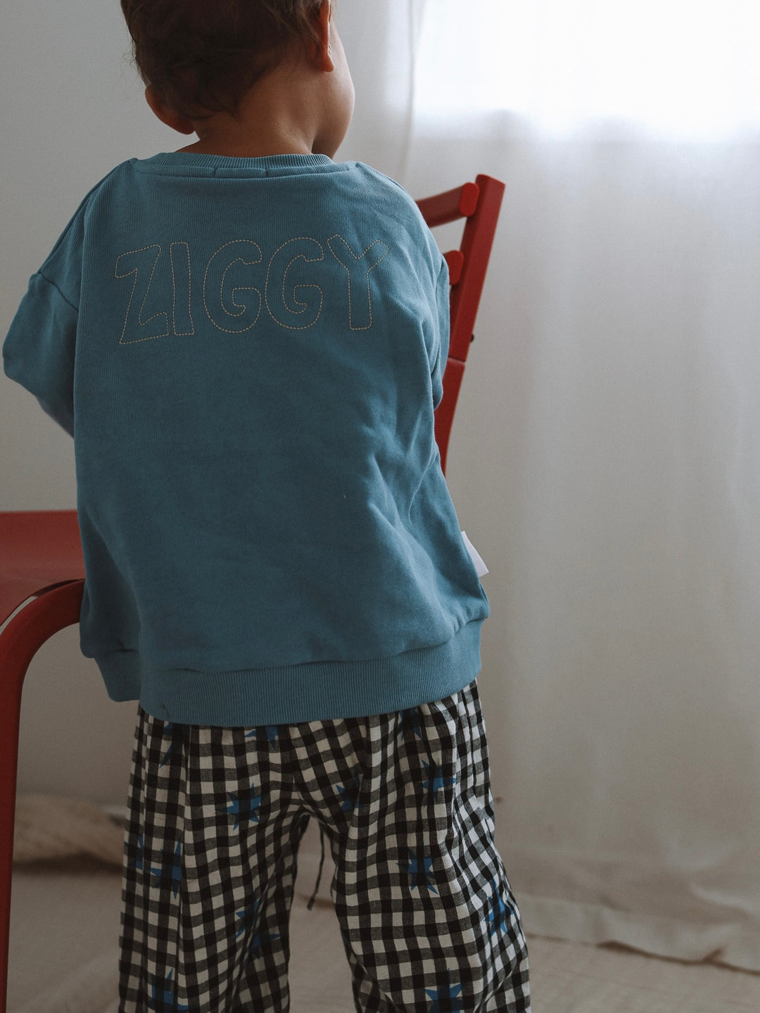 SWEATSHIRT | FERRIS