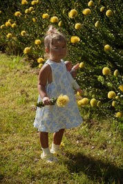 SOFIA DRESS MEADOW