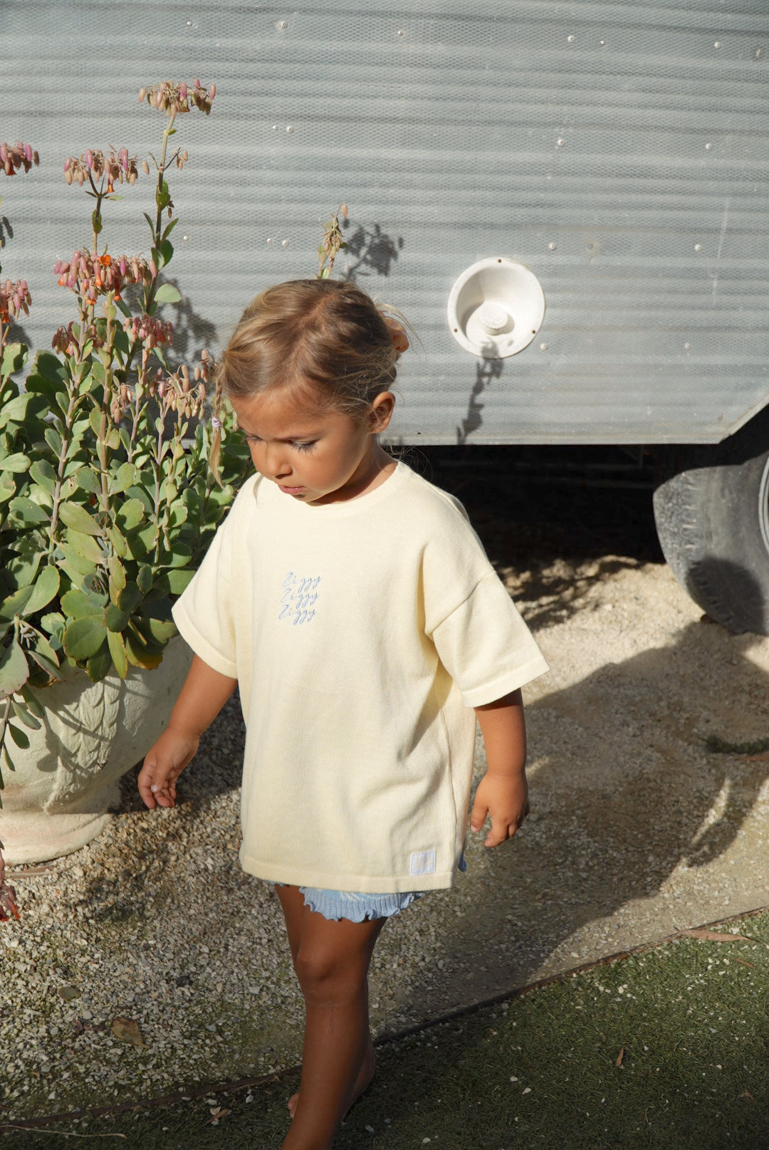 SIGNATURE TEE BUTTERCUP