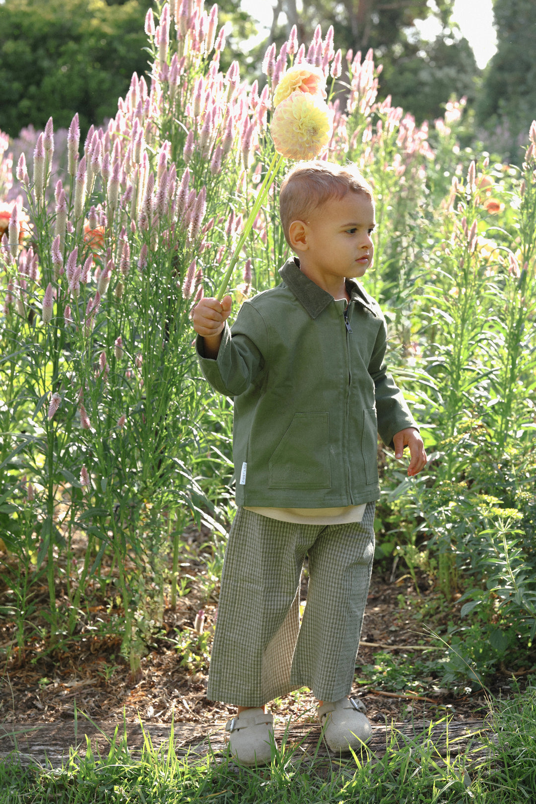 ESSENTIAL PANTS SPRINGS