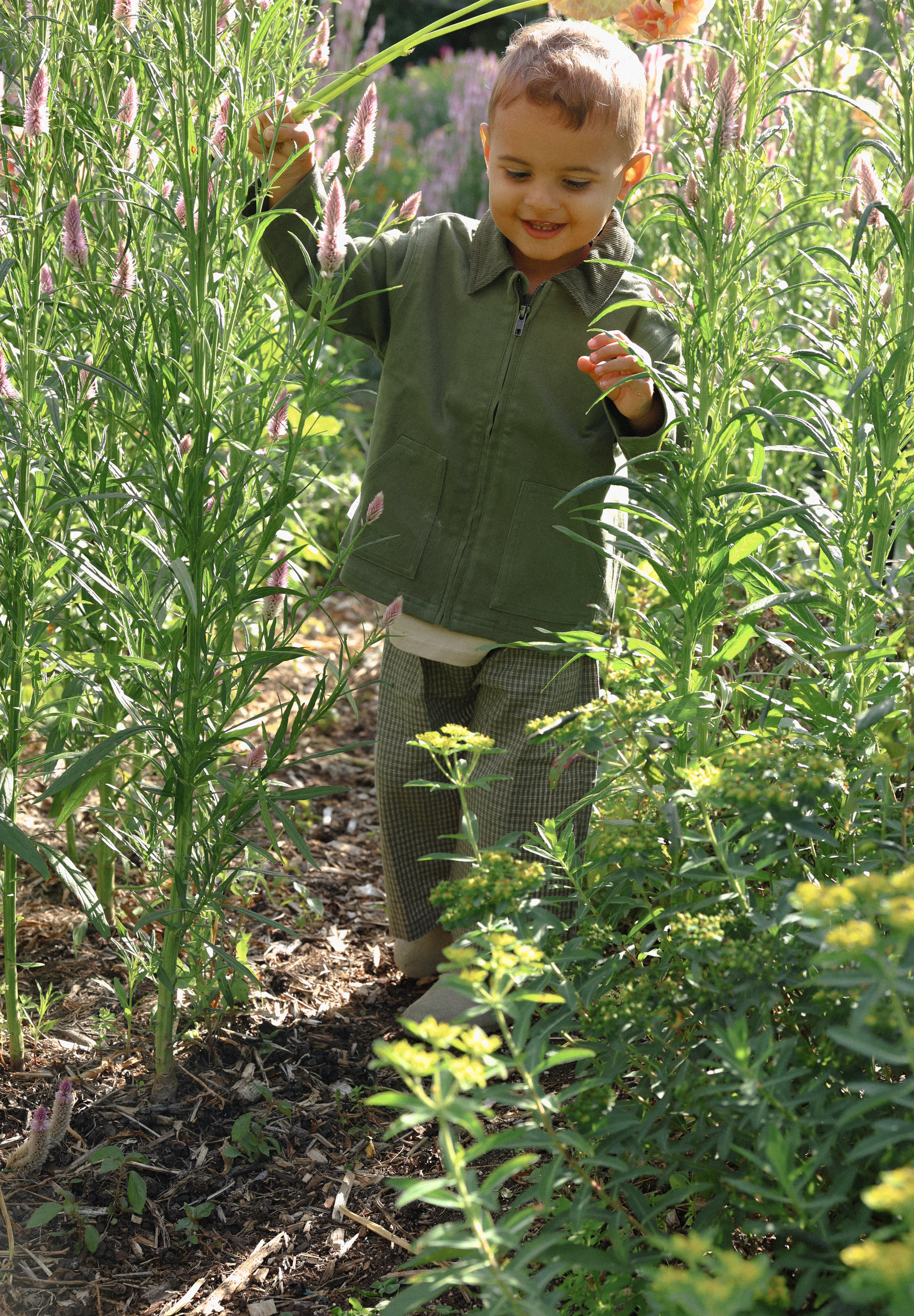 CANVAS JACKET REED