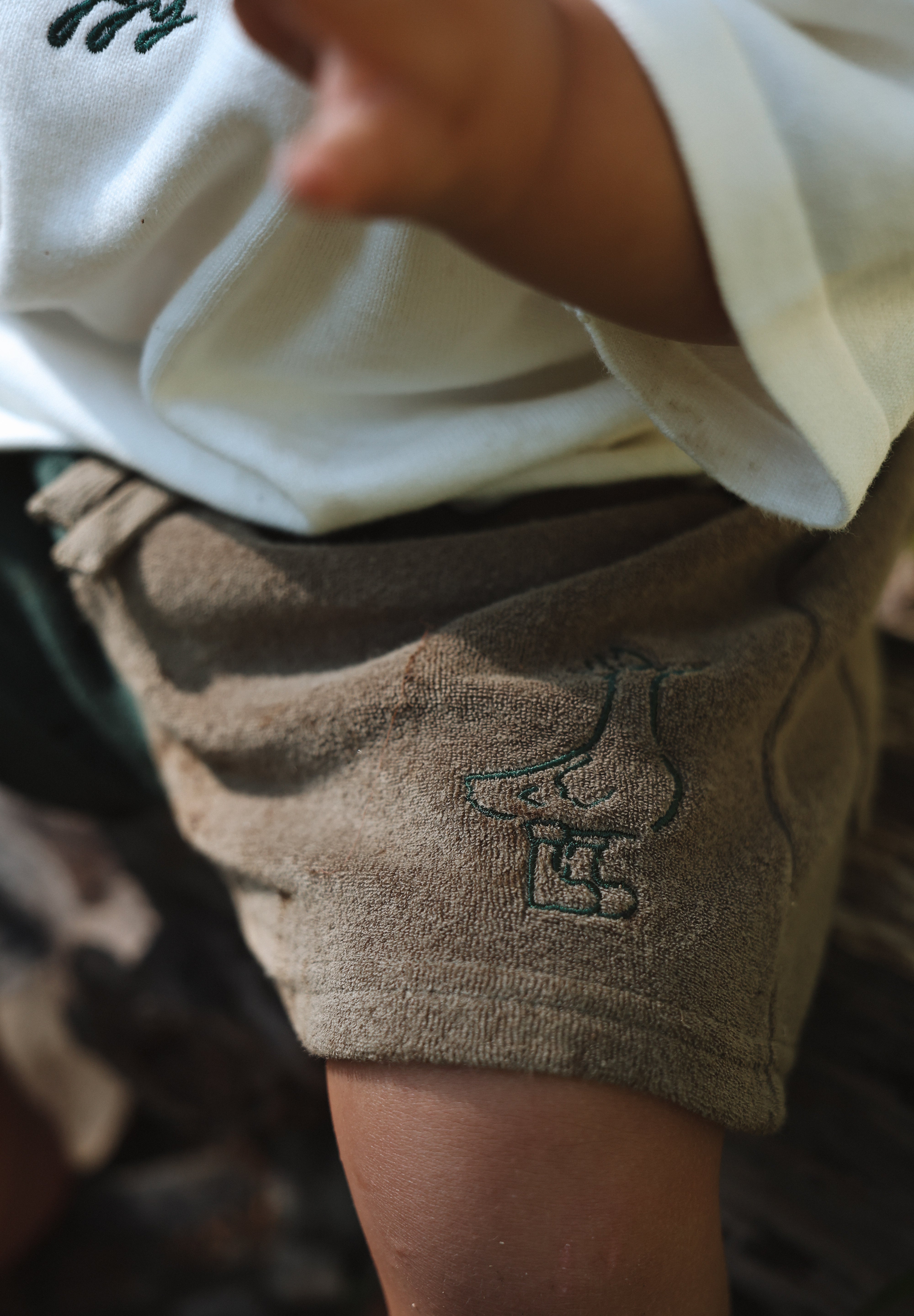 TERRY SHORTS CHUCK THE DUCK