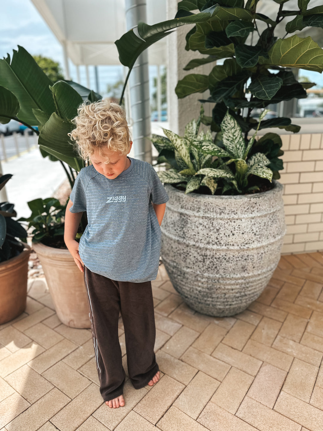 RAGLAN TEE | PHOENIX