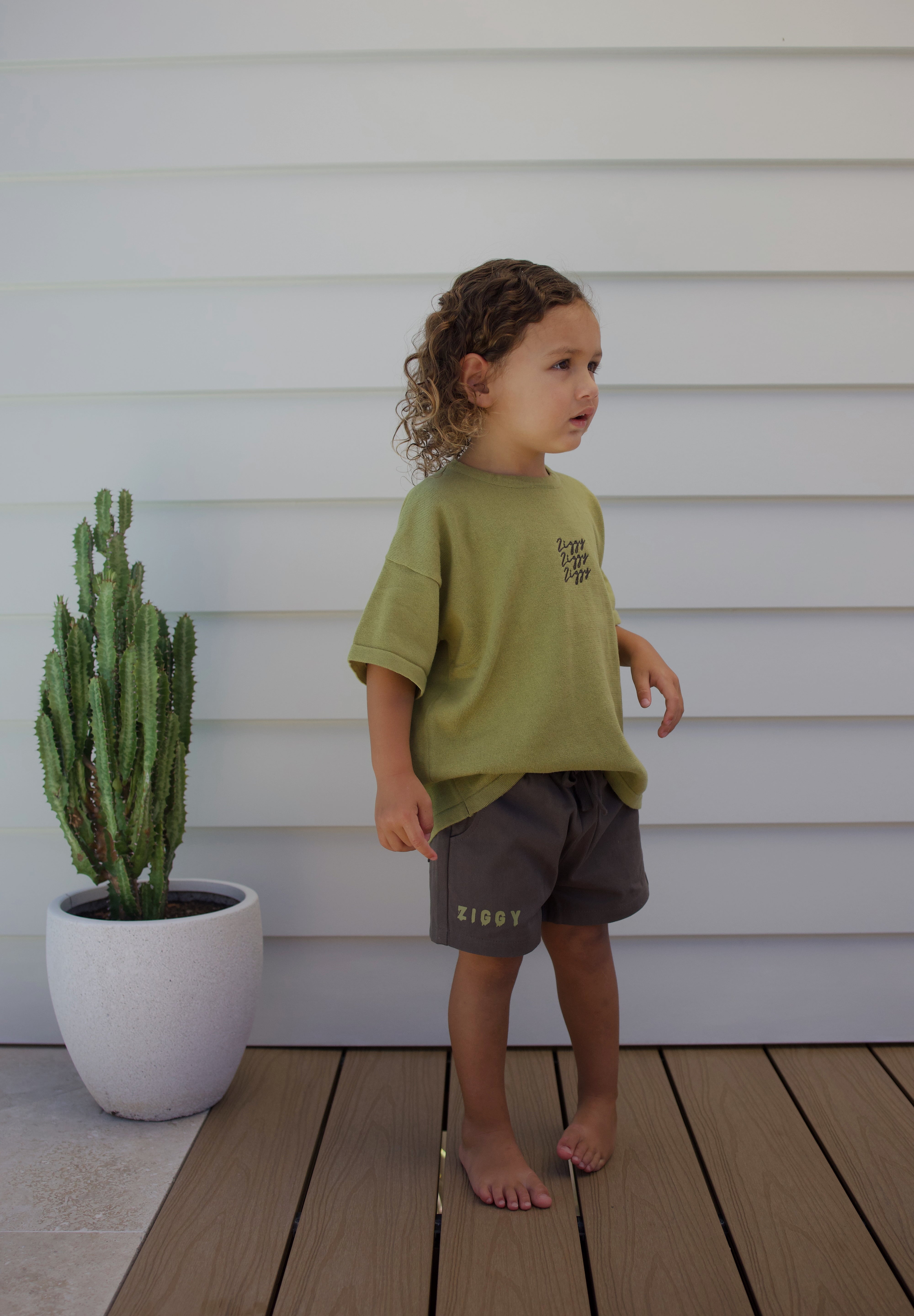 CANVAS SHORTS | ZEPHYR