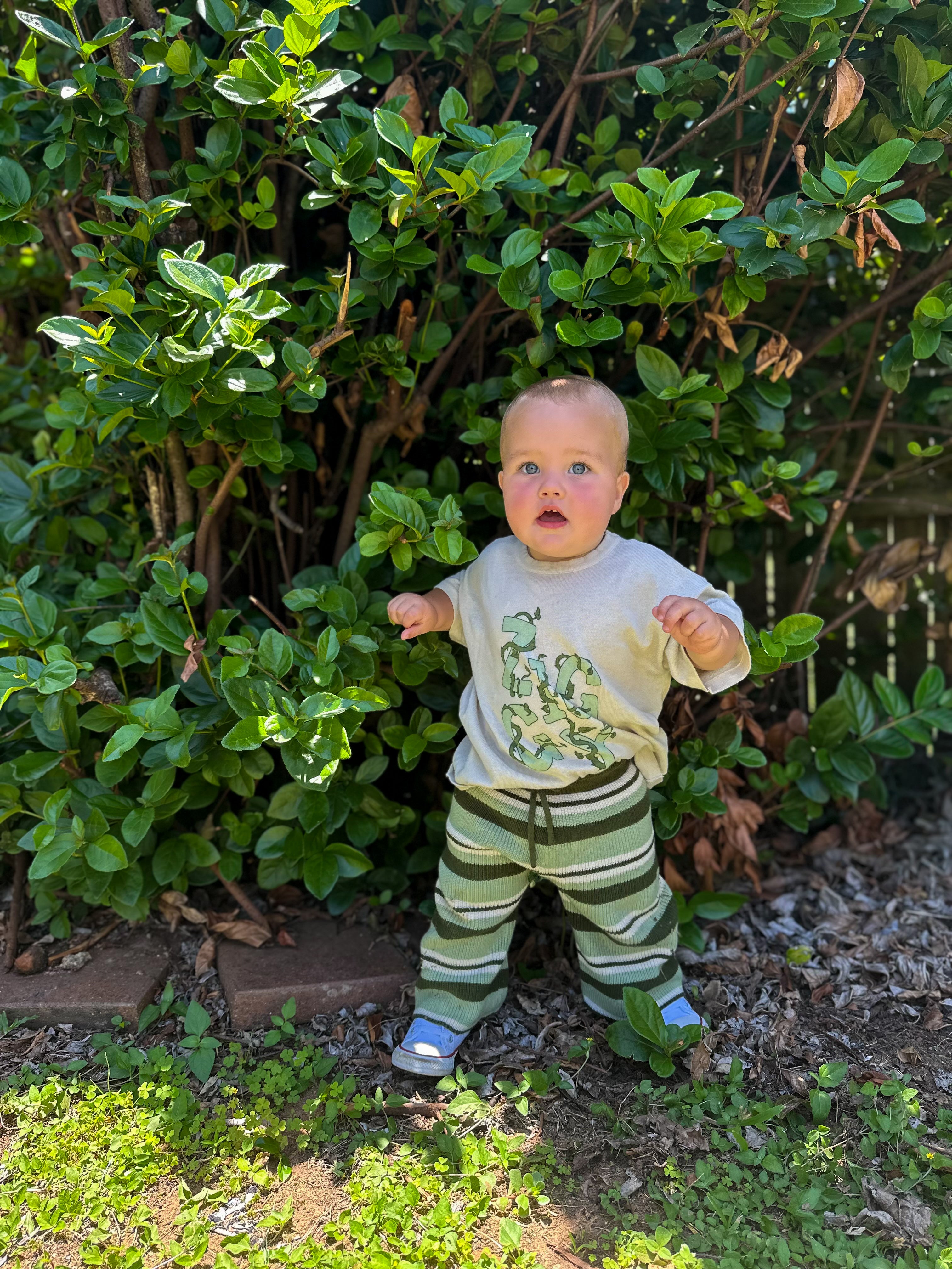 TEE VINES