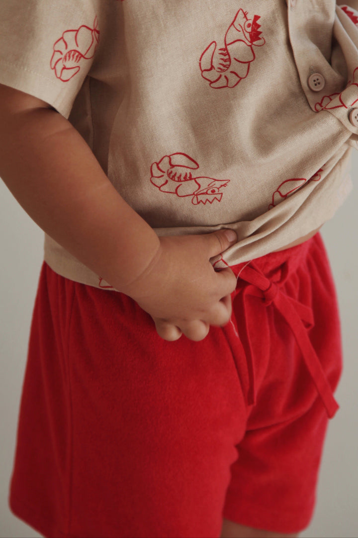 SHORTS | SHAWN THE PRAWN